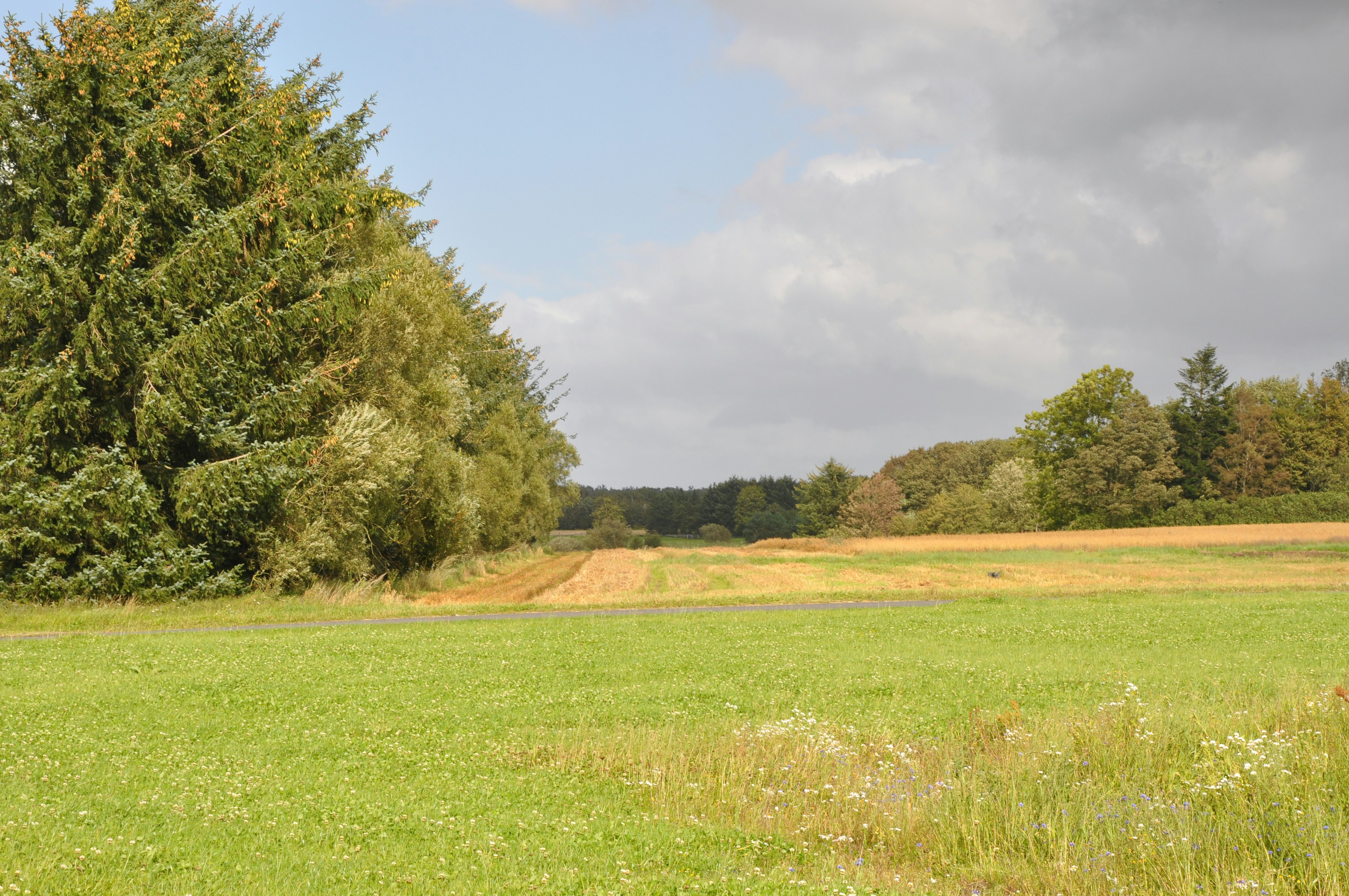 Photo by henrikvoiceofdenmark