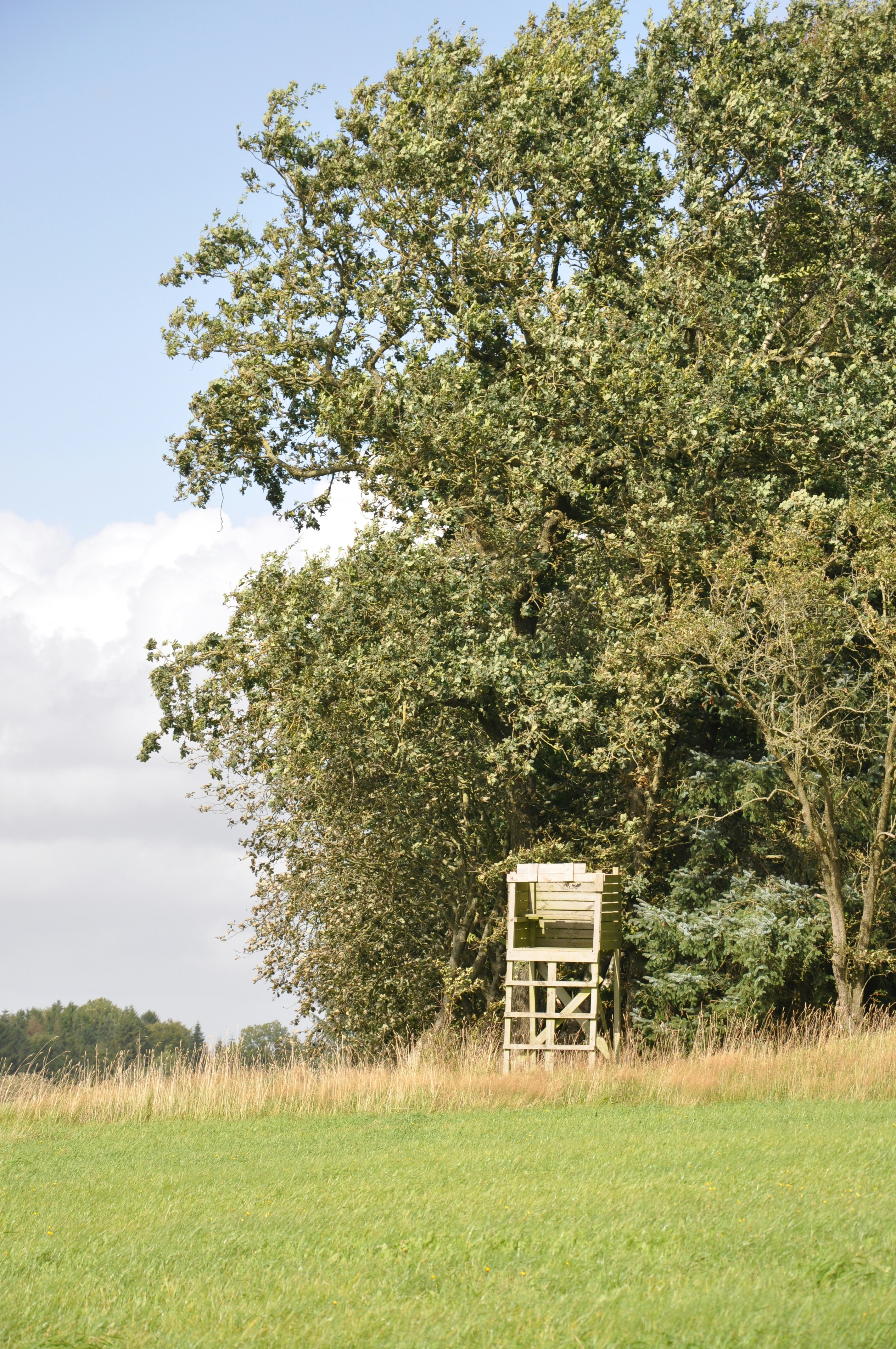 Photo by henrikvoiceofdenmark