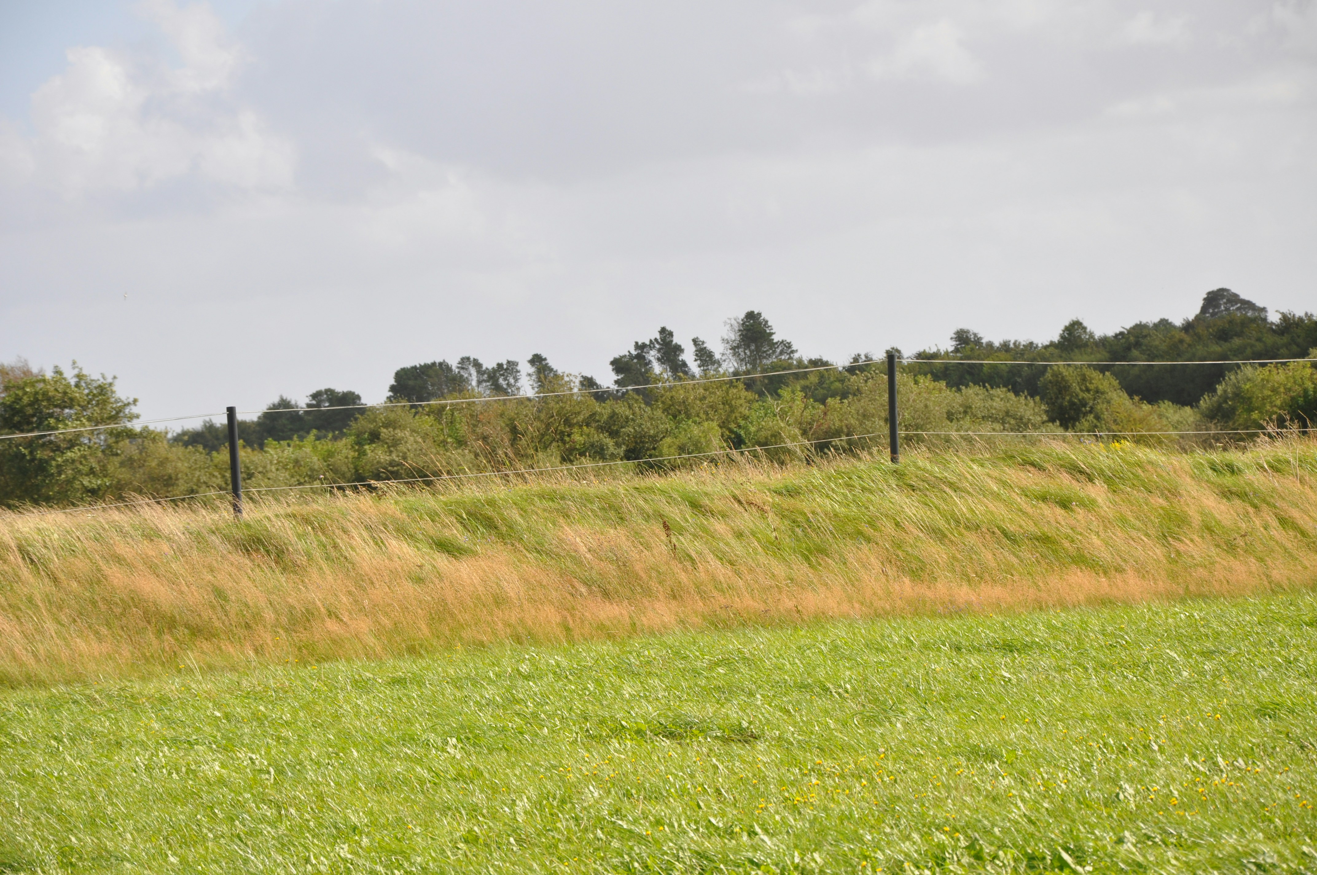 Photo by henrikvoiceofdenmark