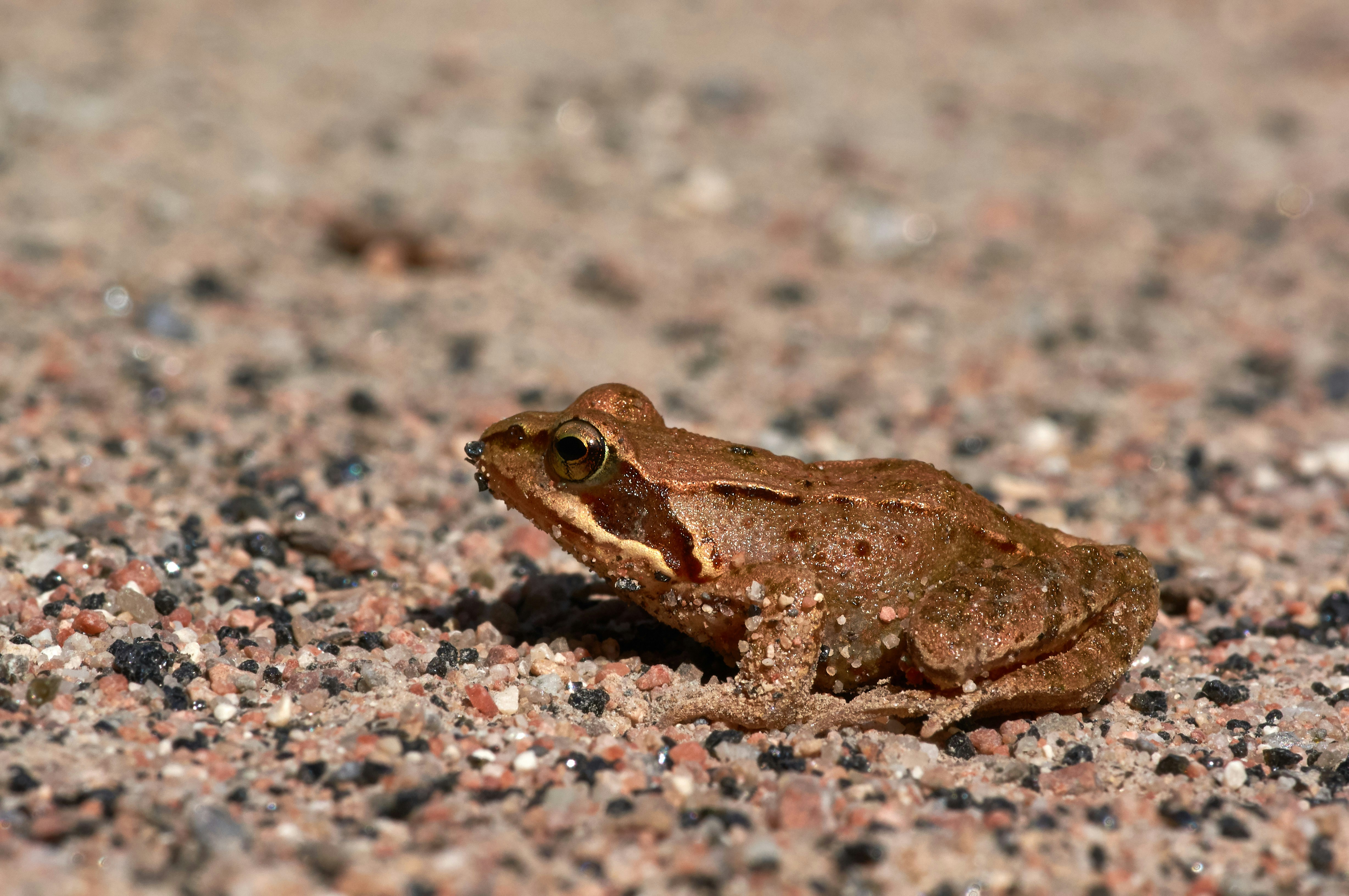 Photo by wolfgang_hasselmann