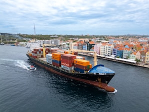 A large cargo ship in the middle of a body of water