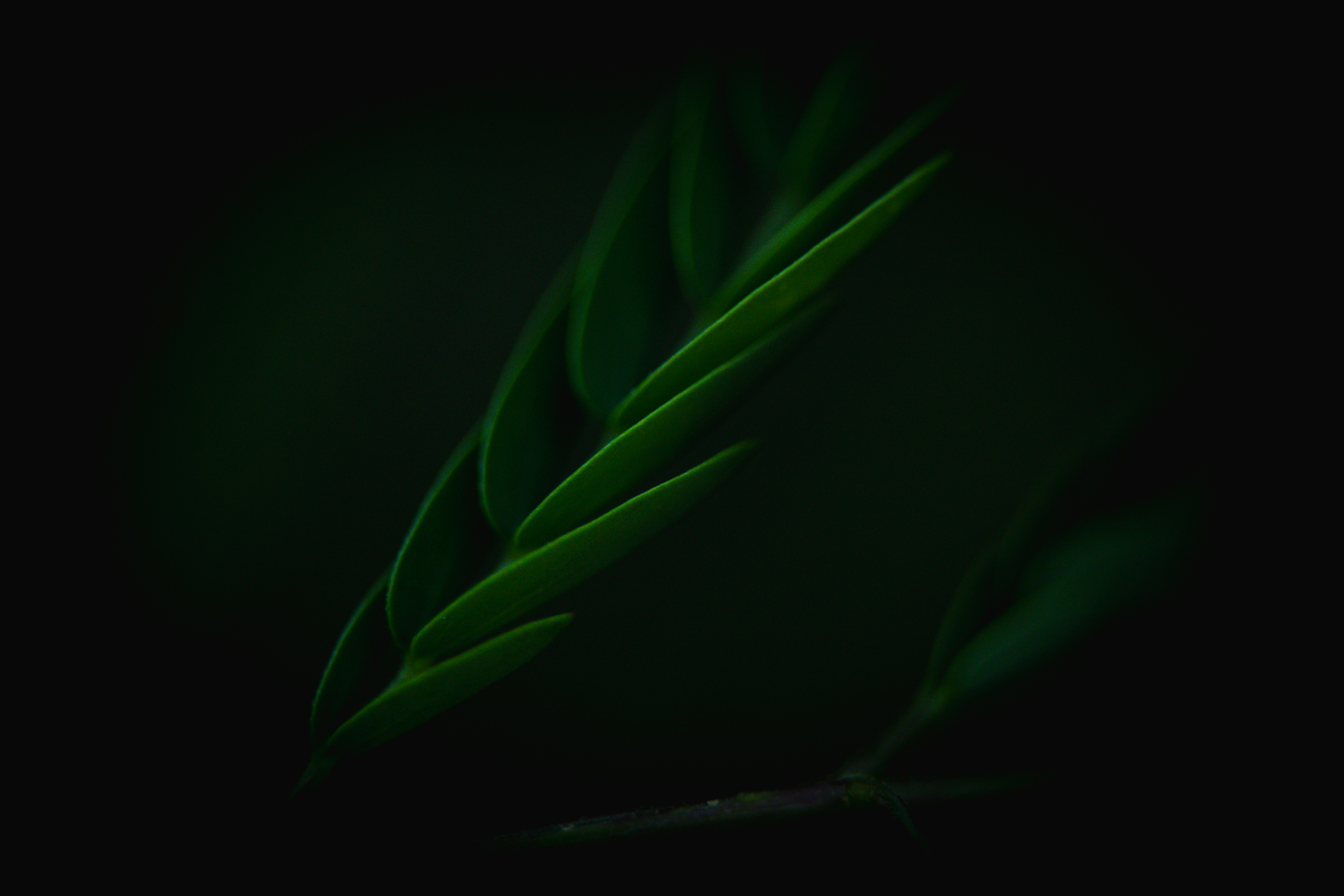 Photo by rrodriguesim