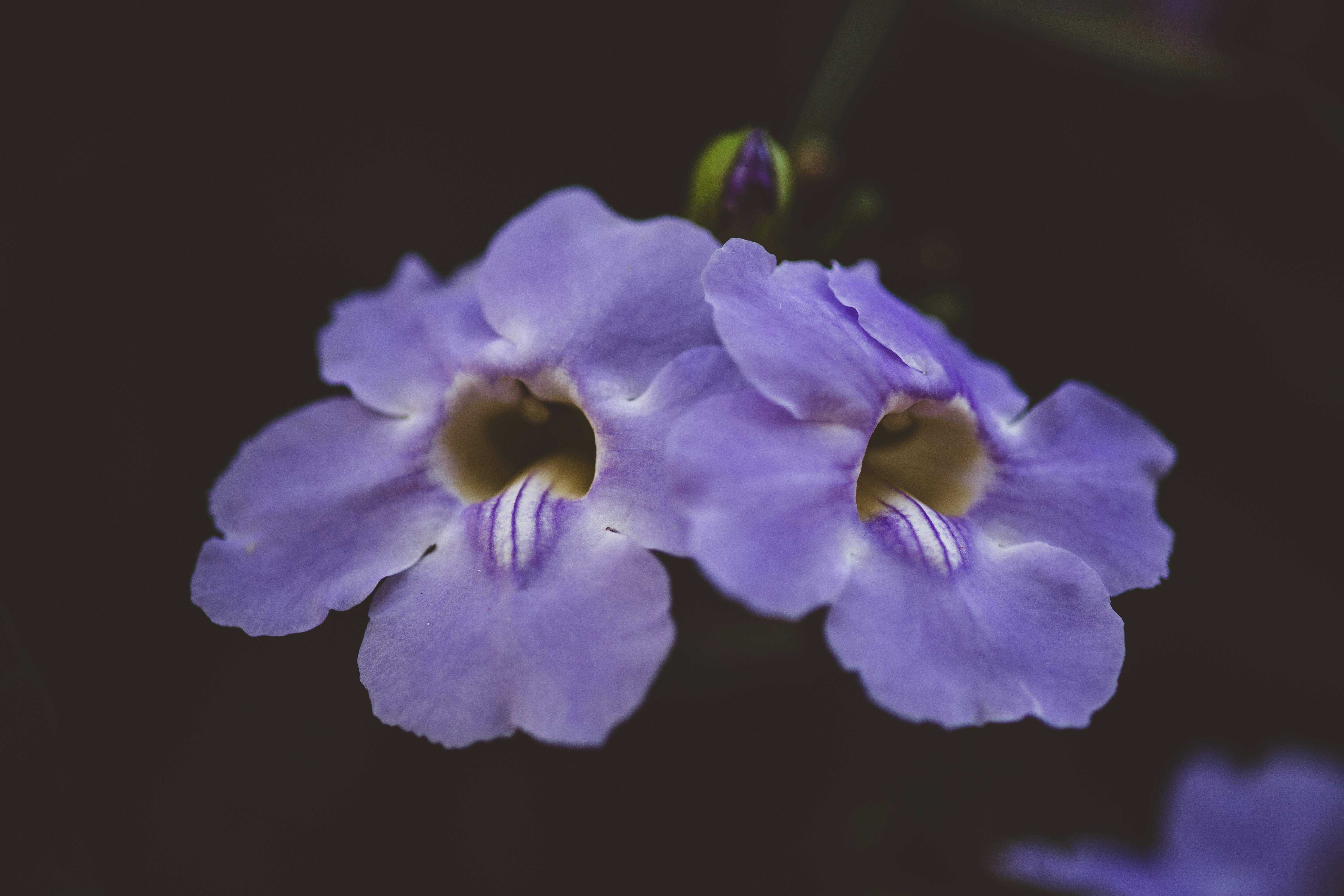 Photo by rrodriguesim