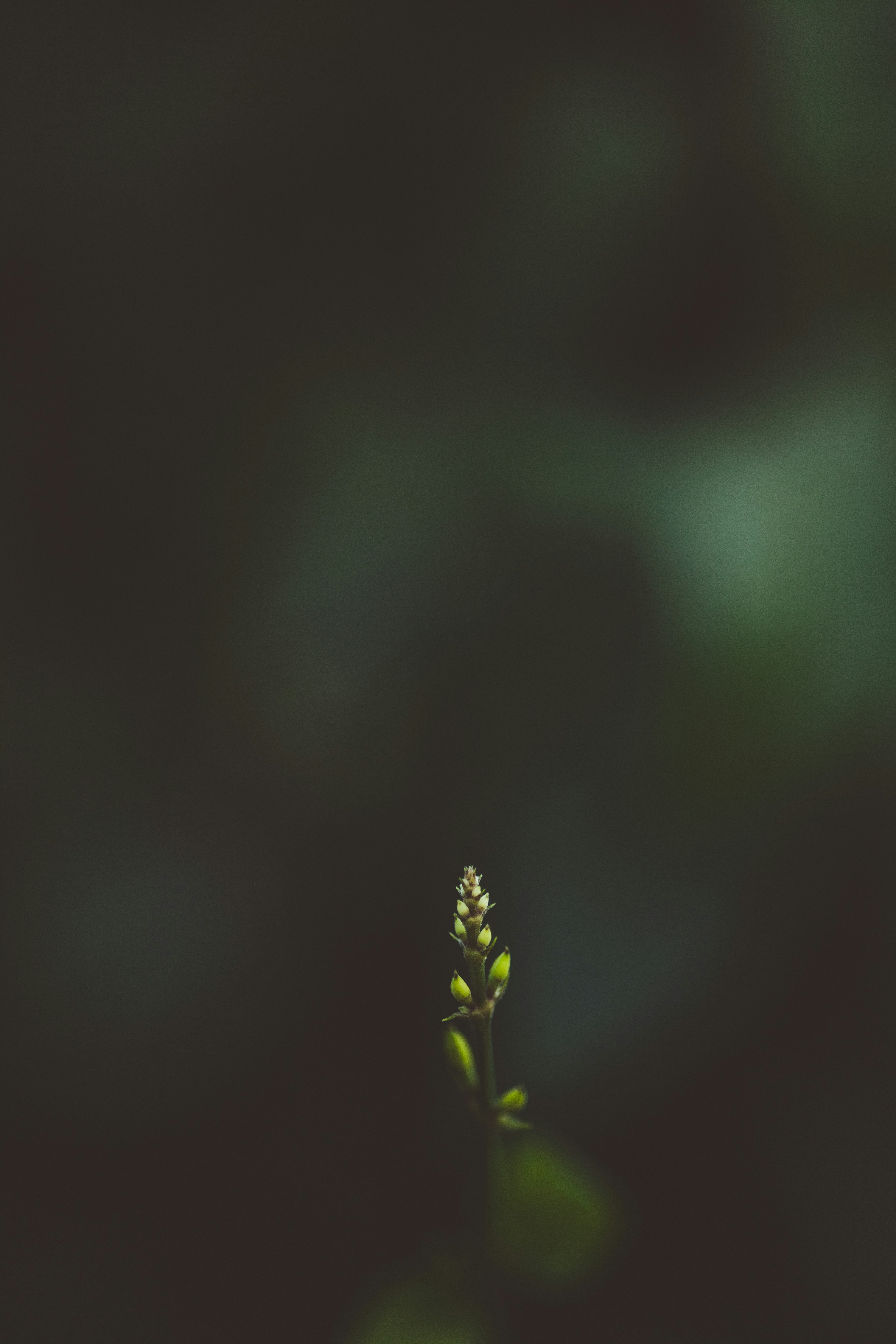 Photo by rrodriguesim