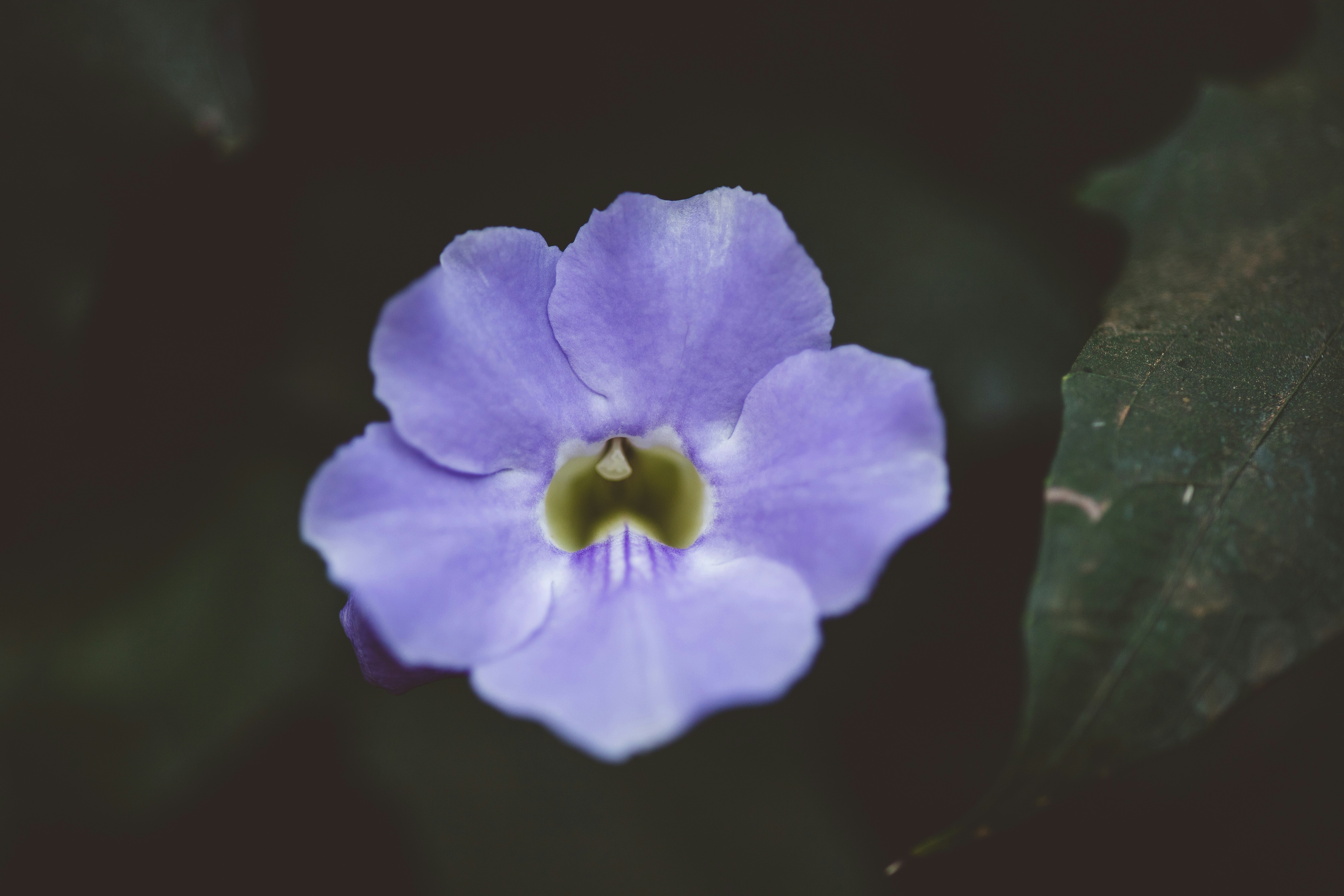 Photo by rrodriguesim