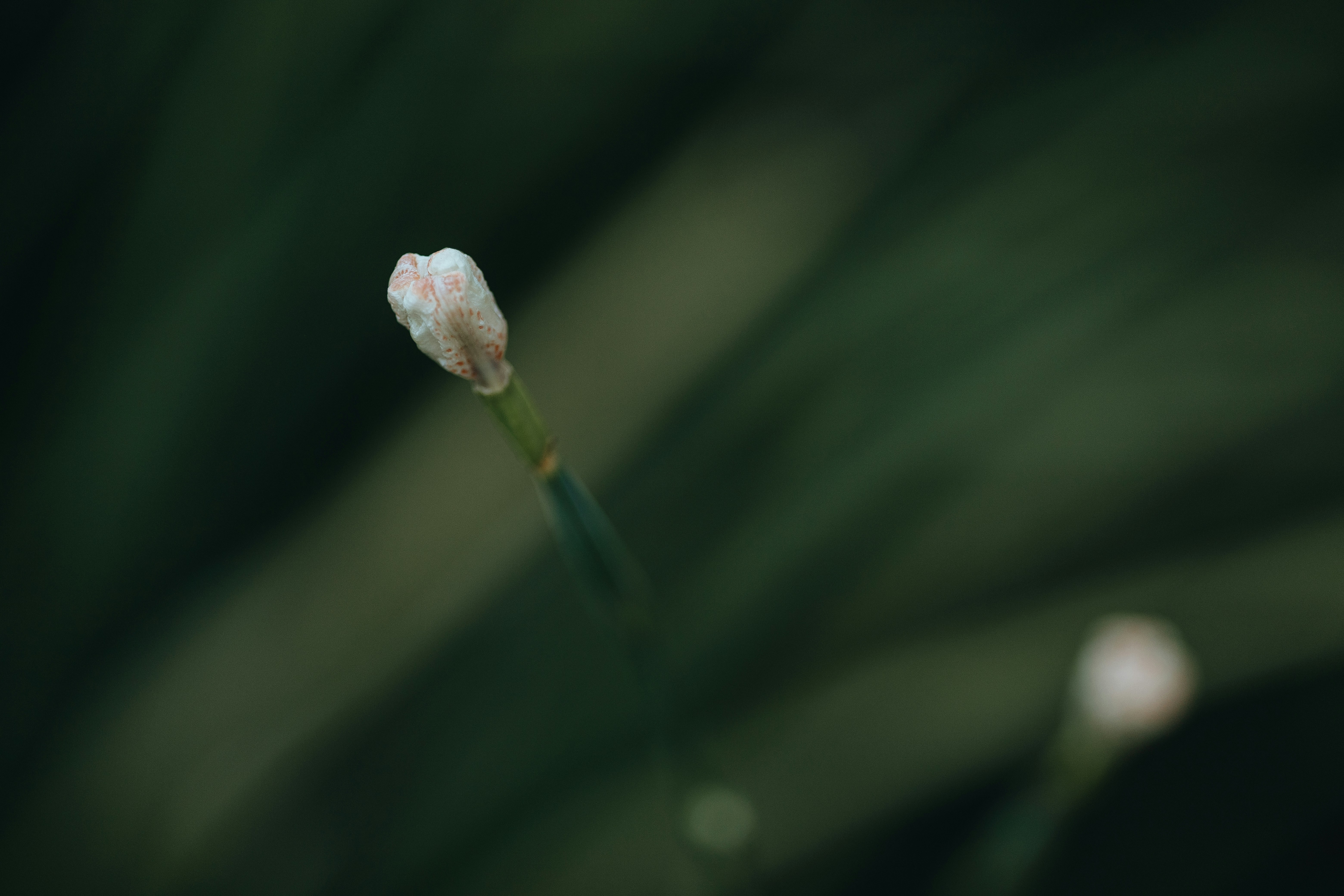 Photo by rrodriguesim