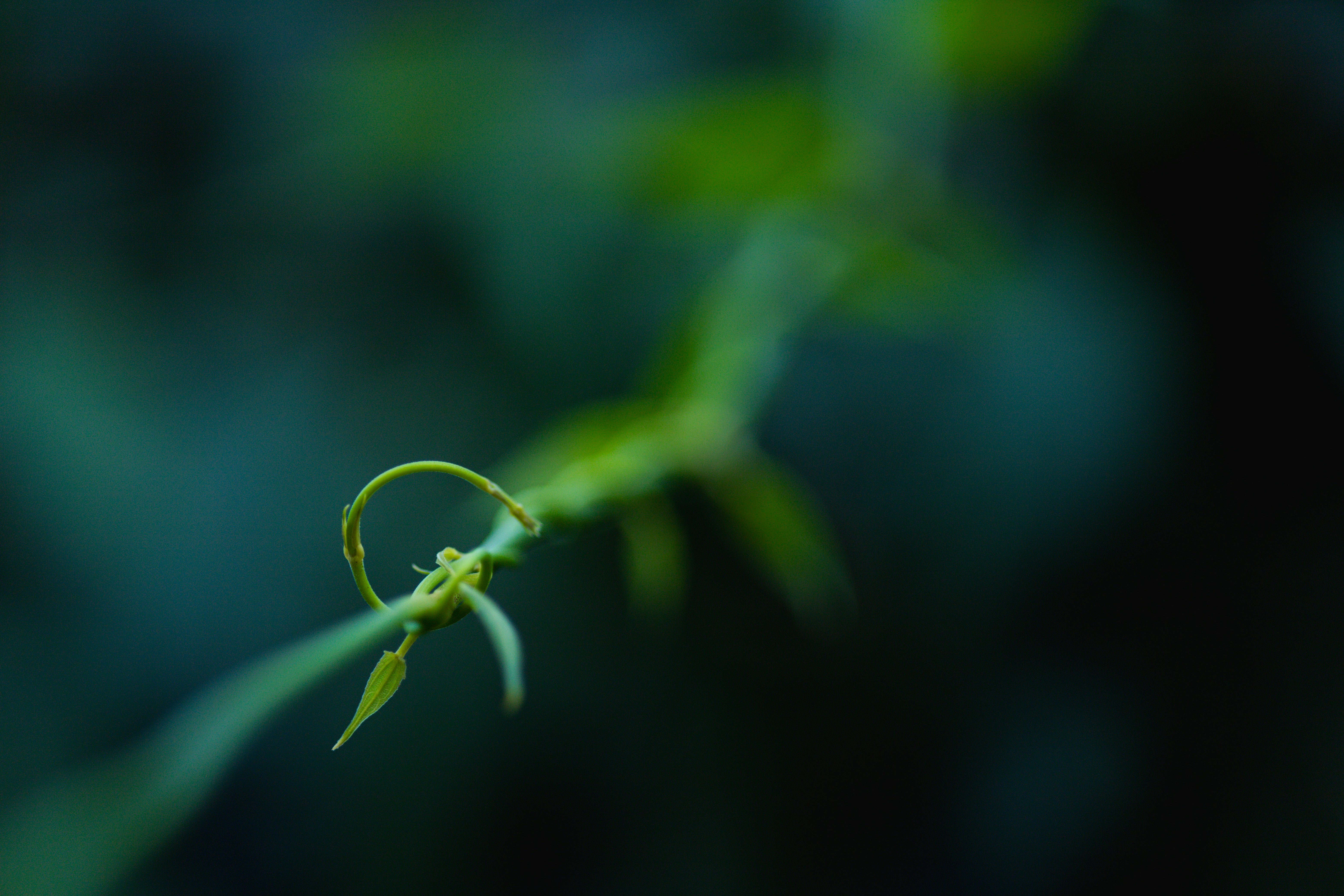 Photo by rrodriguesim