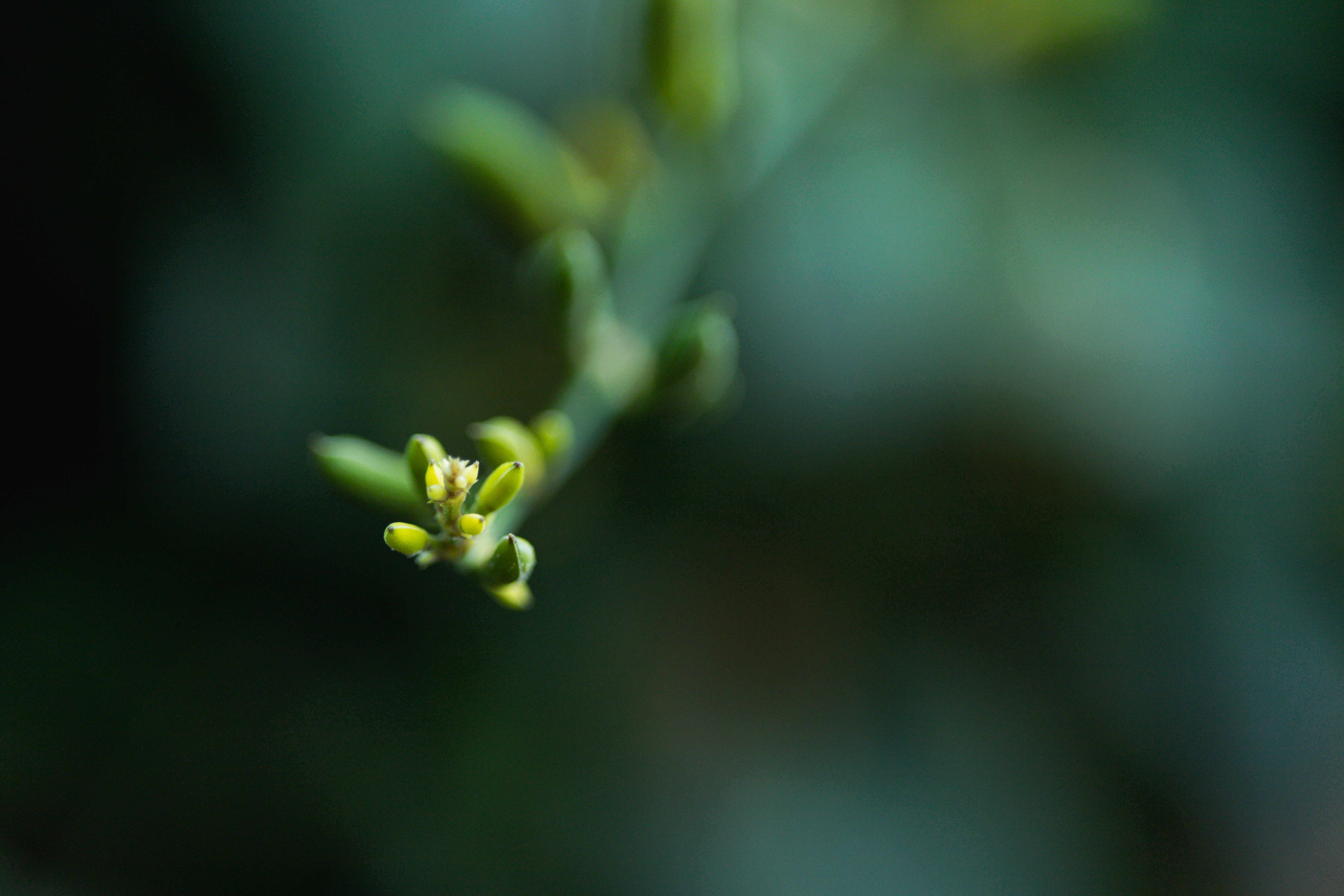 Photo by rrodriguesim