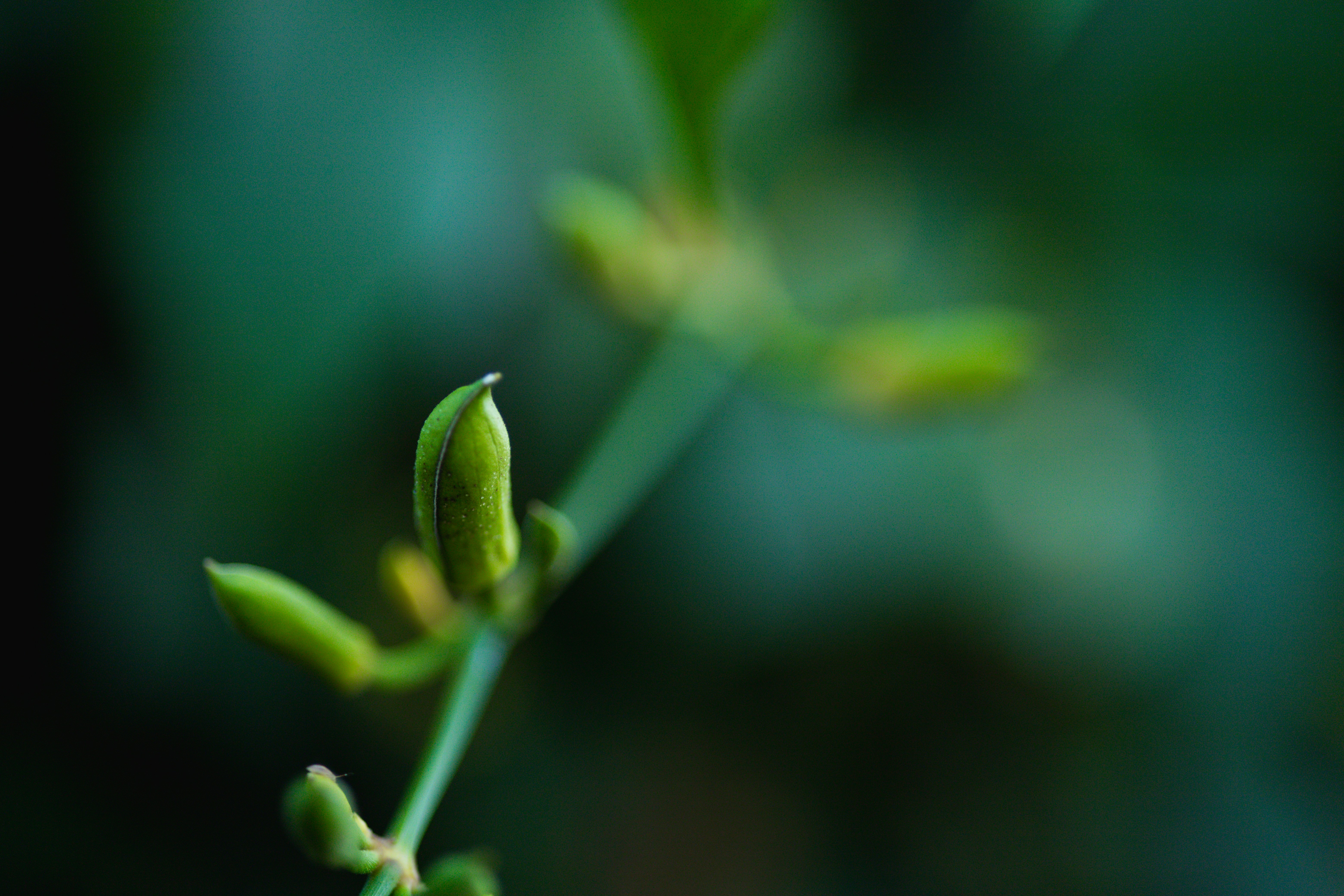 Photo by rrodriguesim