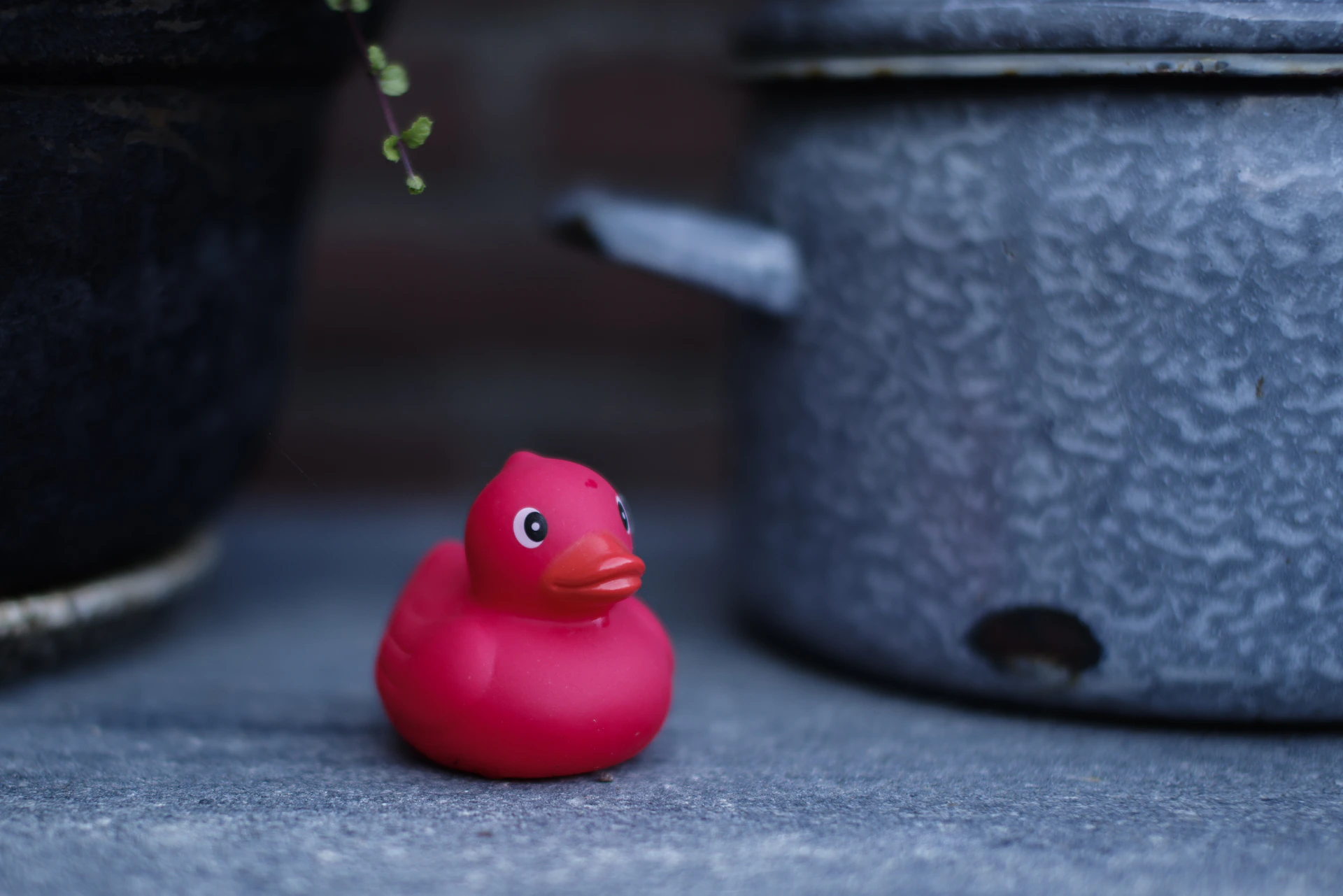 A pink rubber ducky sitting on a table next to a potted plant