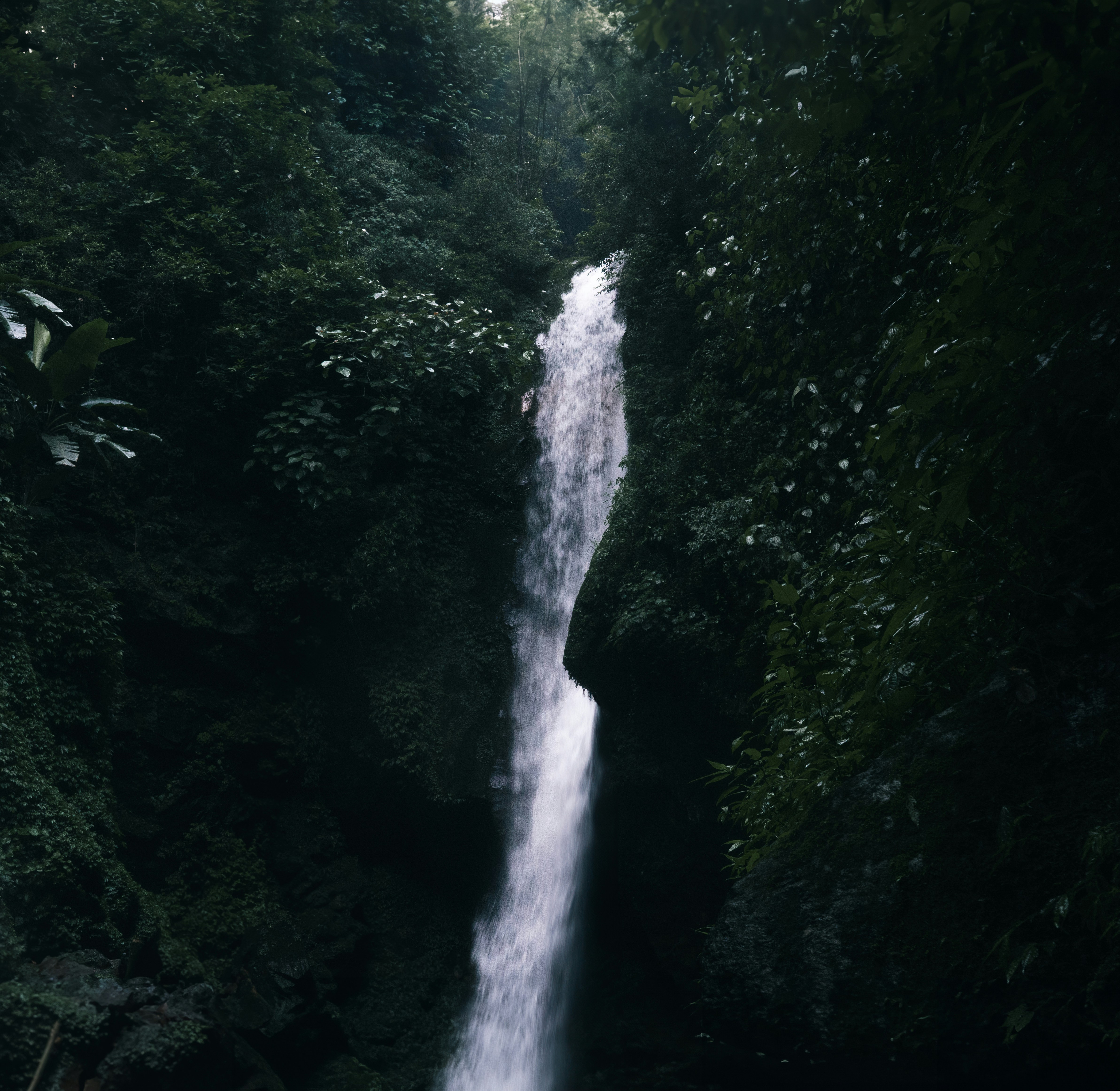 Photo by neerajkpramanik