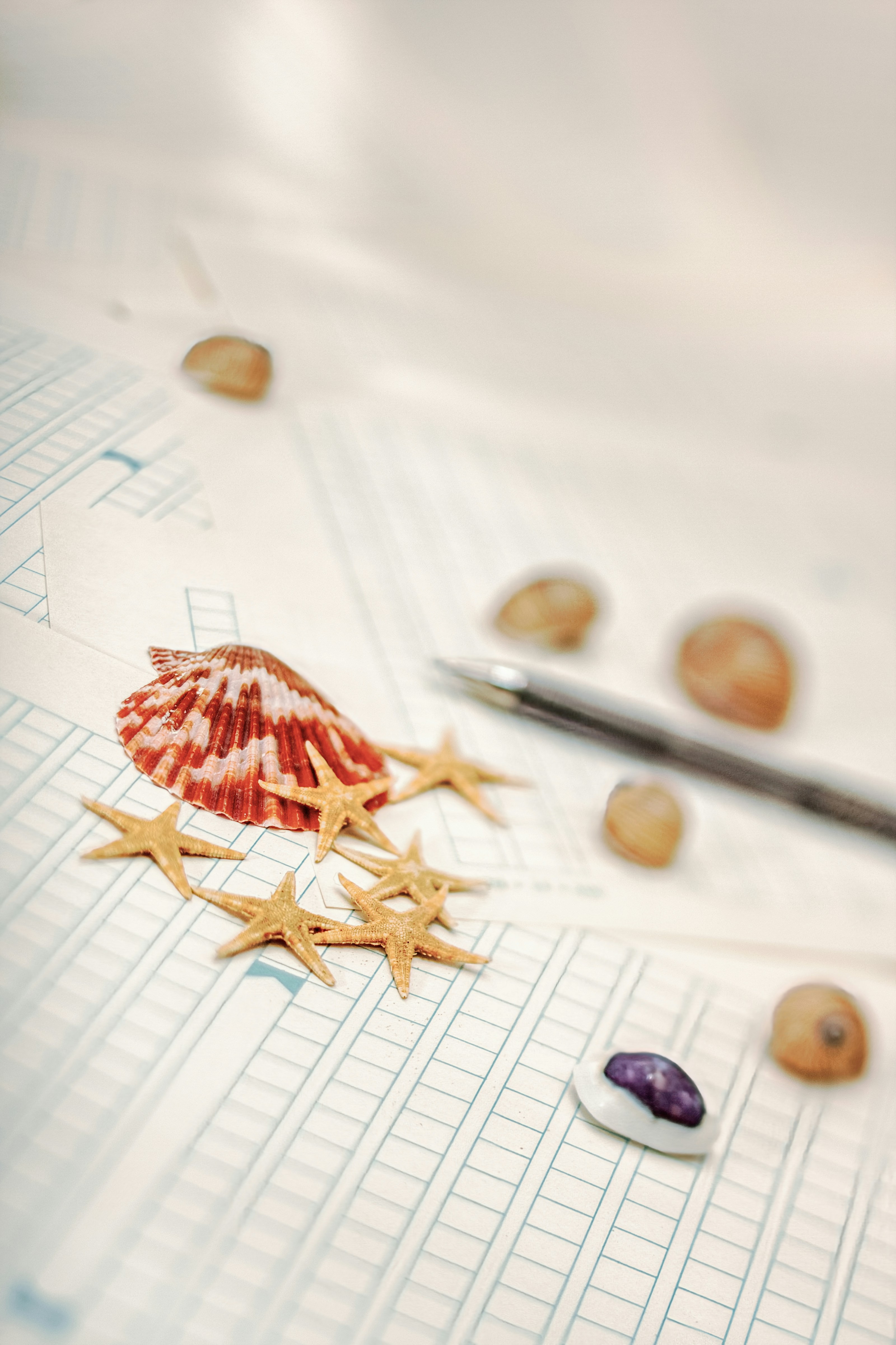 A close up of shells and a pair of scissors