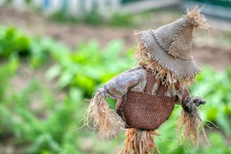 A scarecrow holding a basket of hay