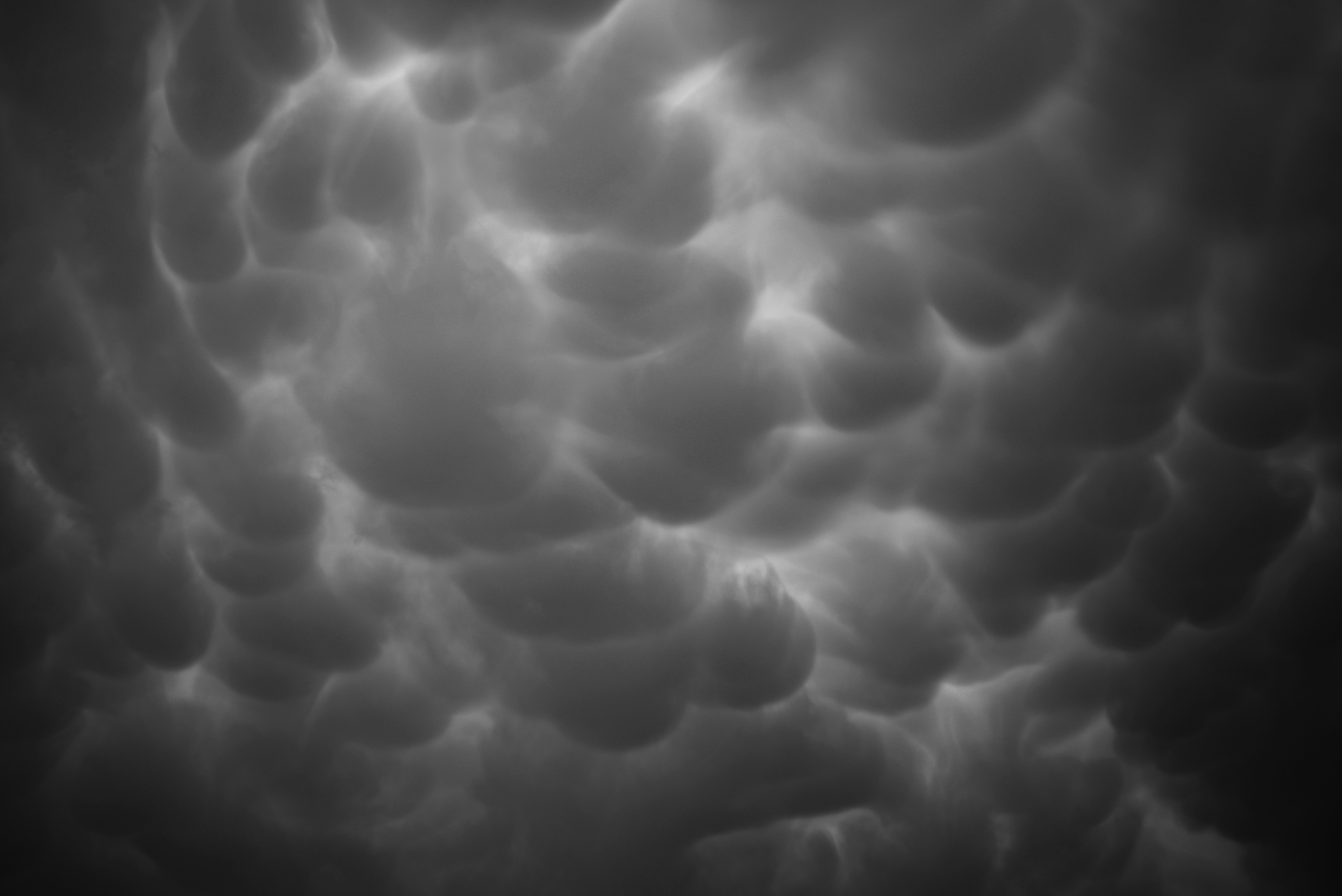 Photo by cherstve_pechivo