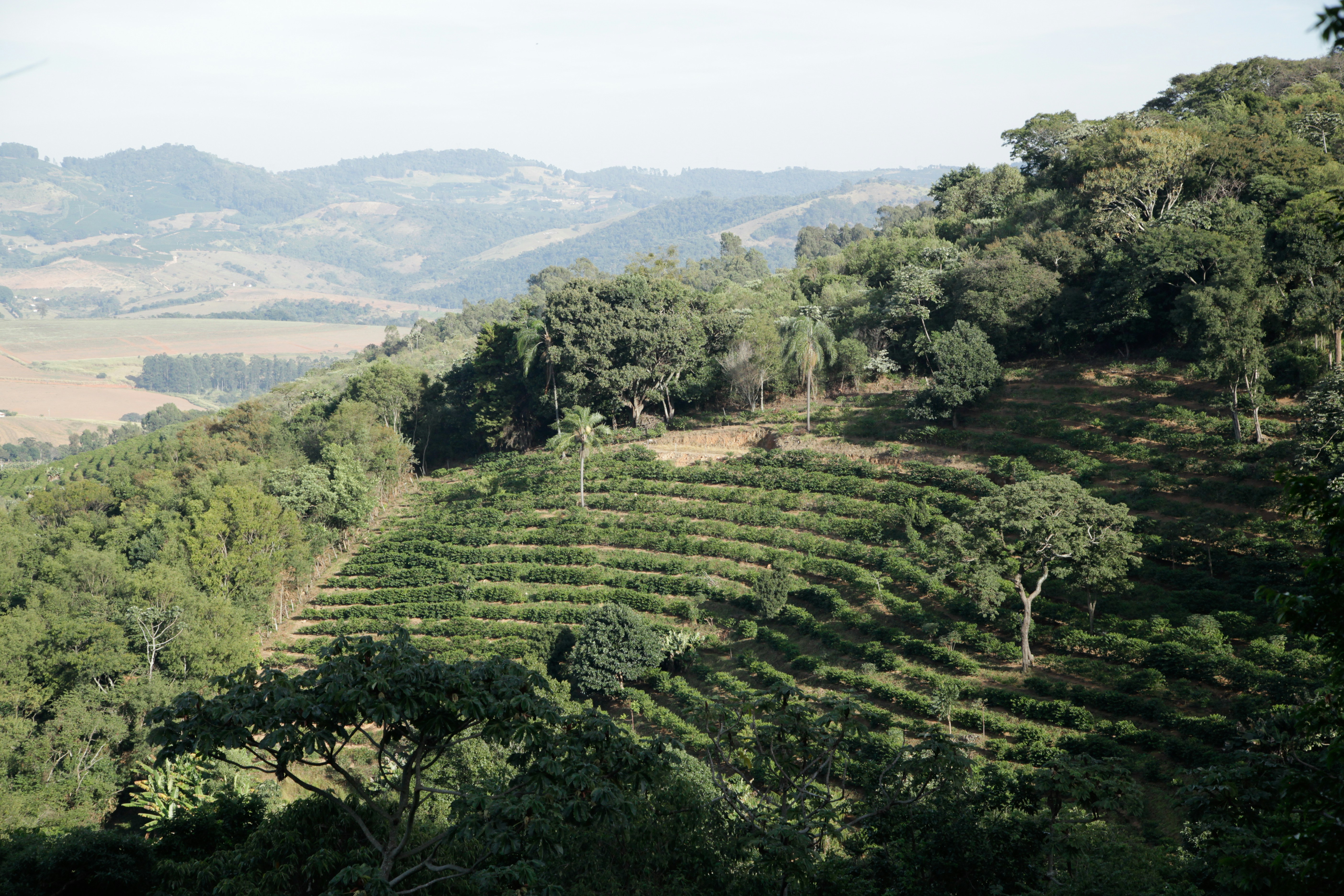 Photo by projetocafegatomourisco