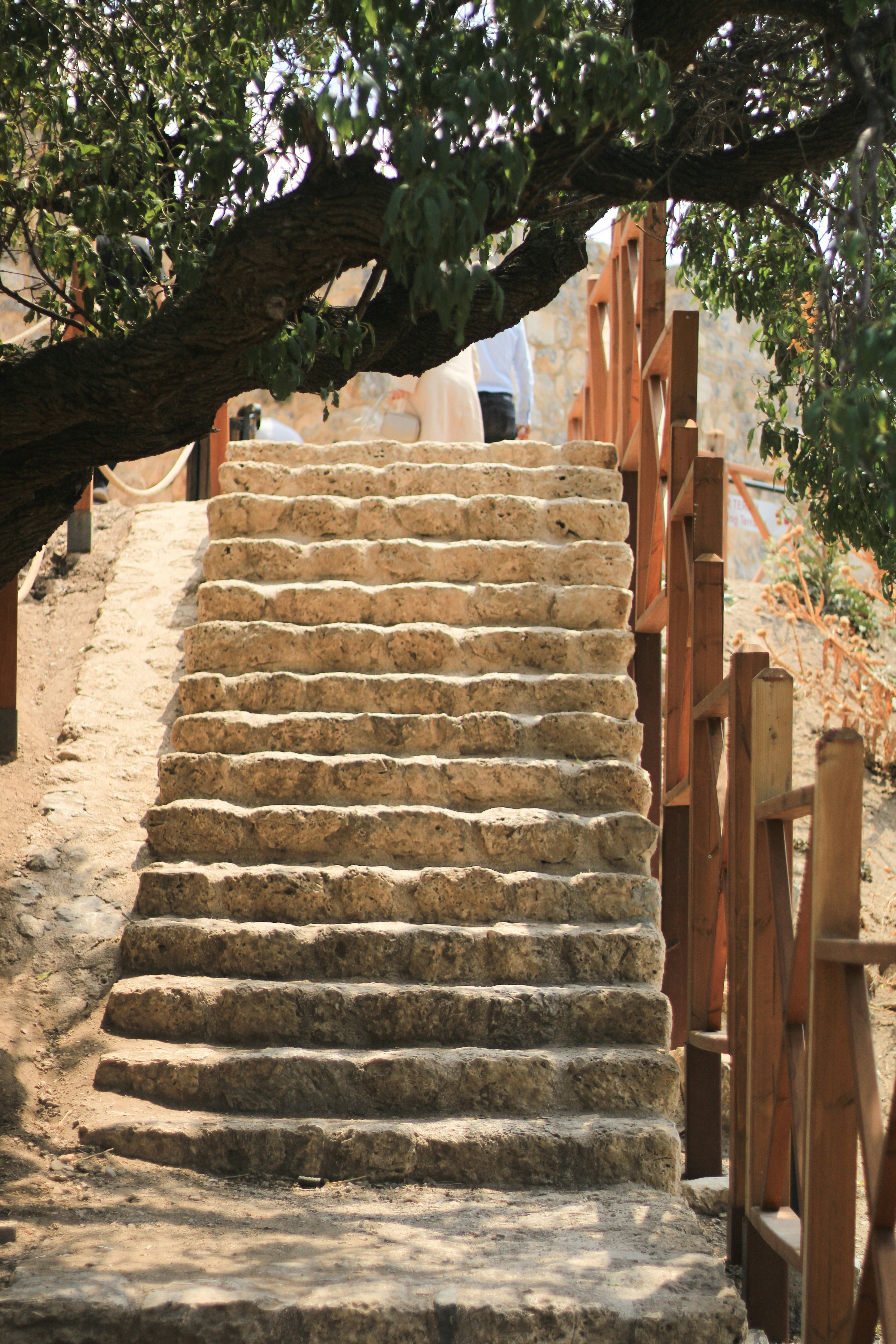 Photo by take_a_picture