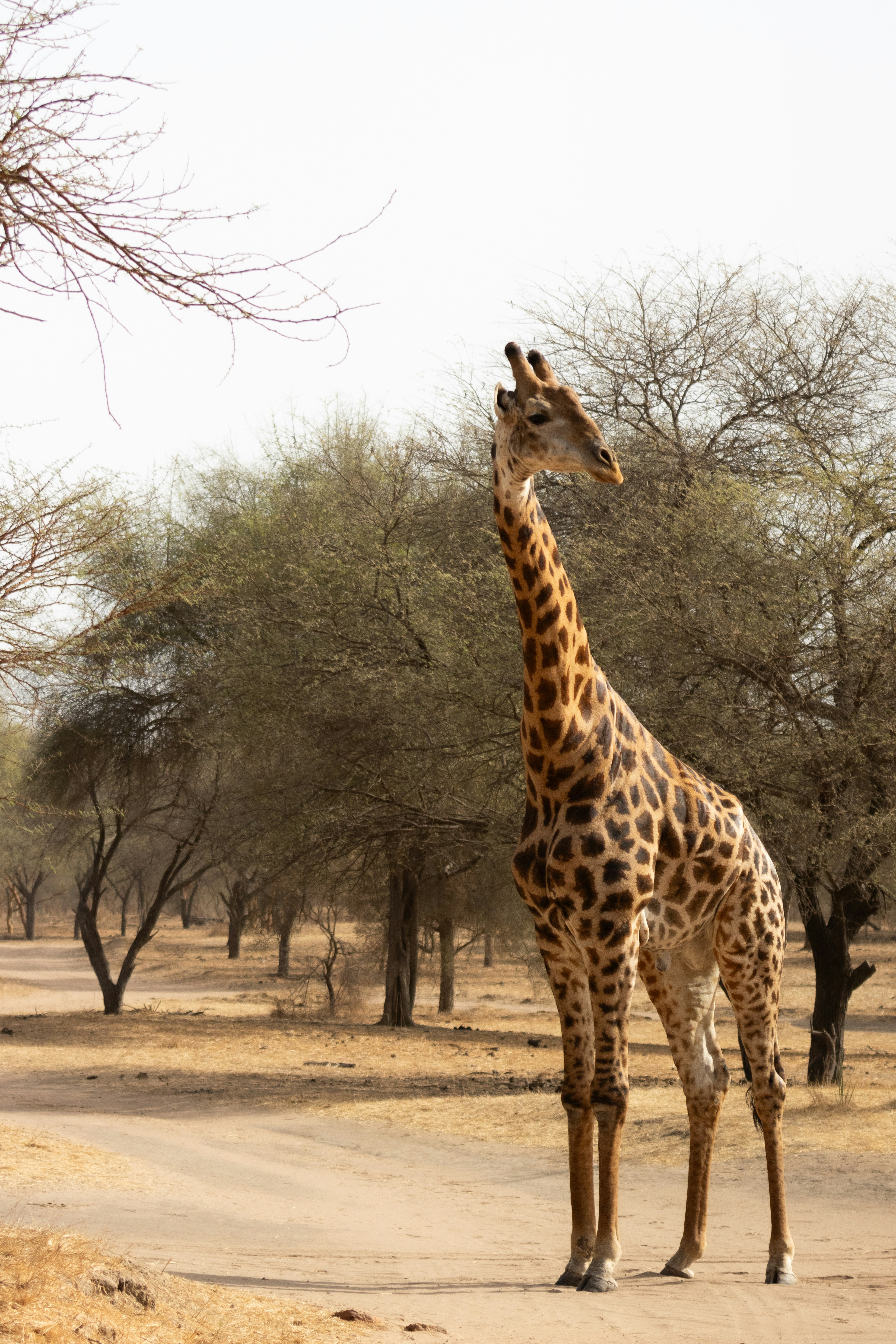 Photo by nathanael240606