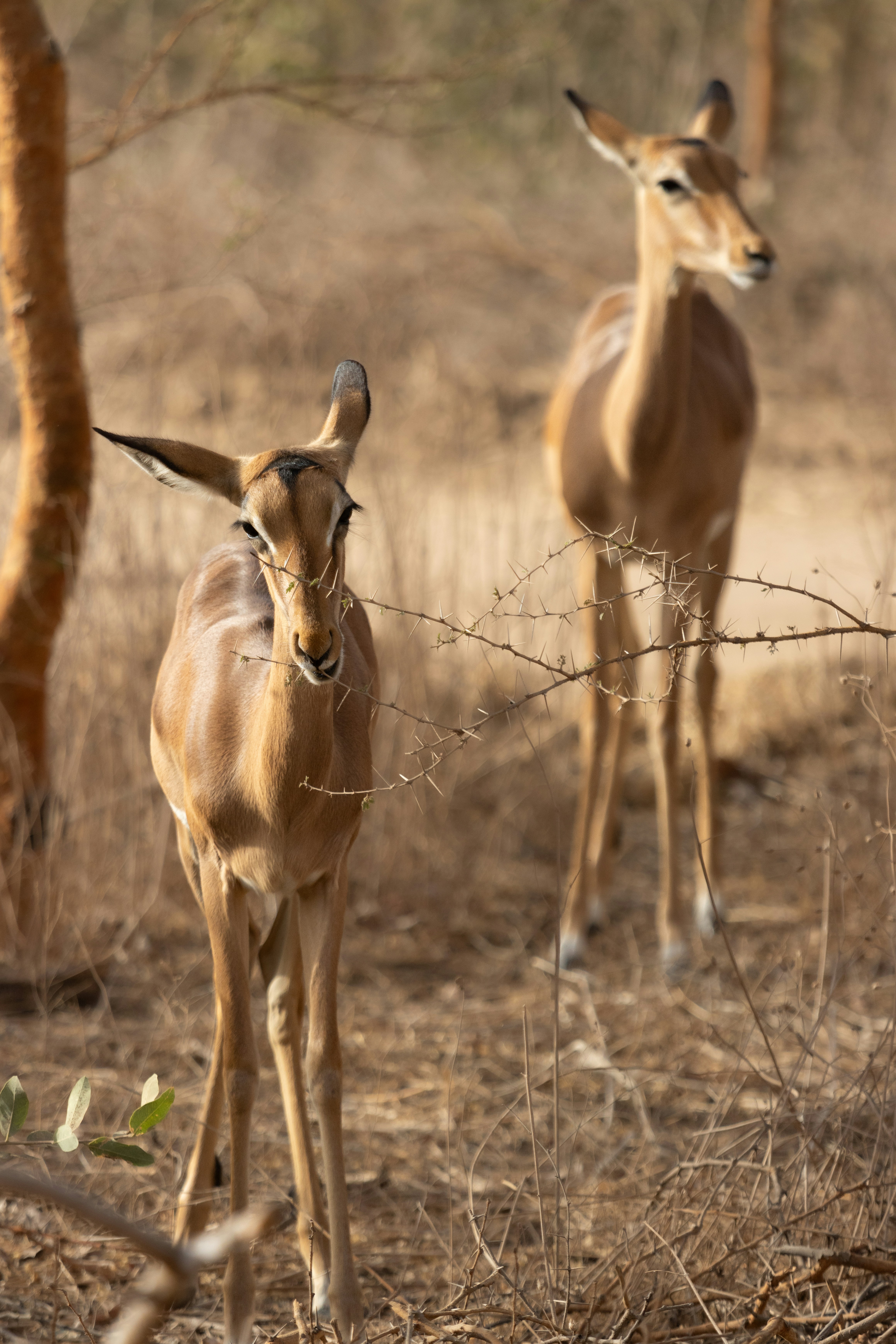 Photo by nathanael240606