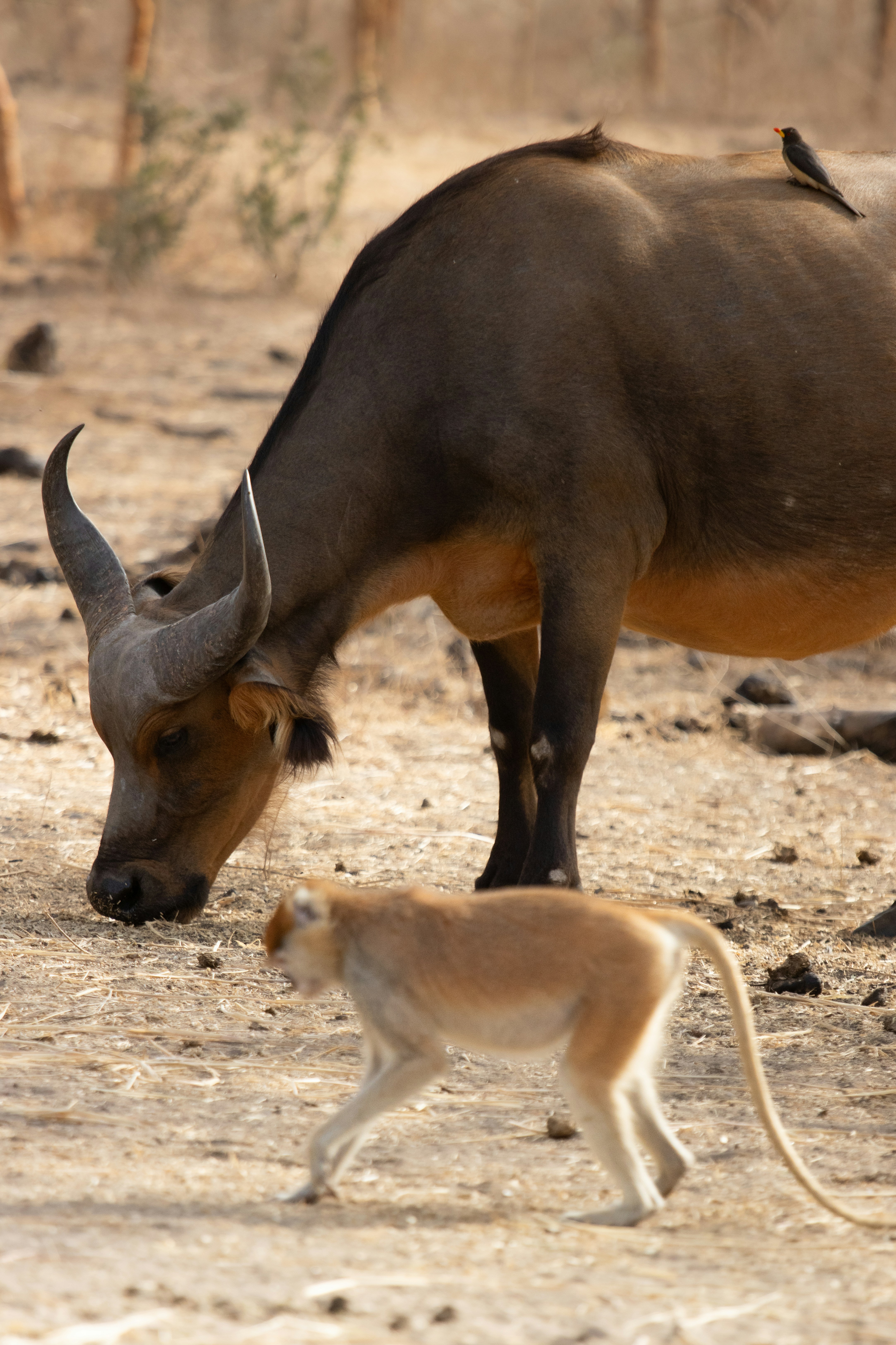 Photo by nathanael240606