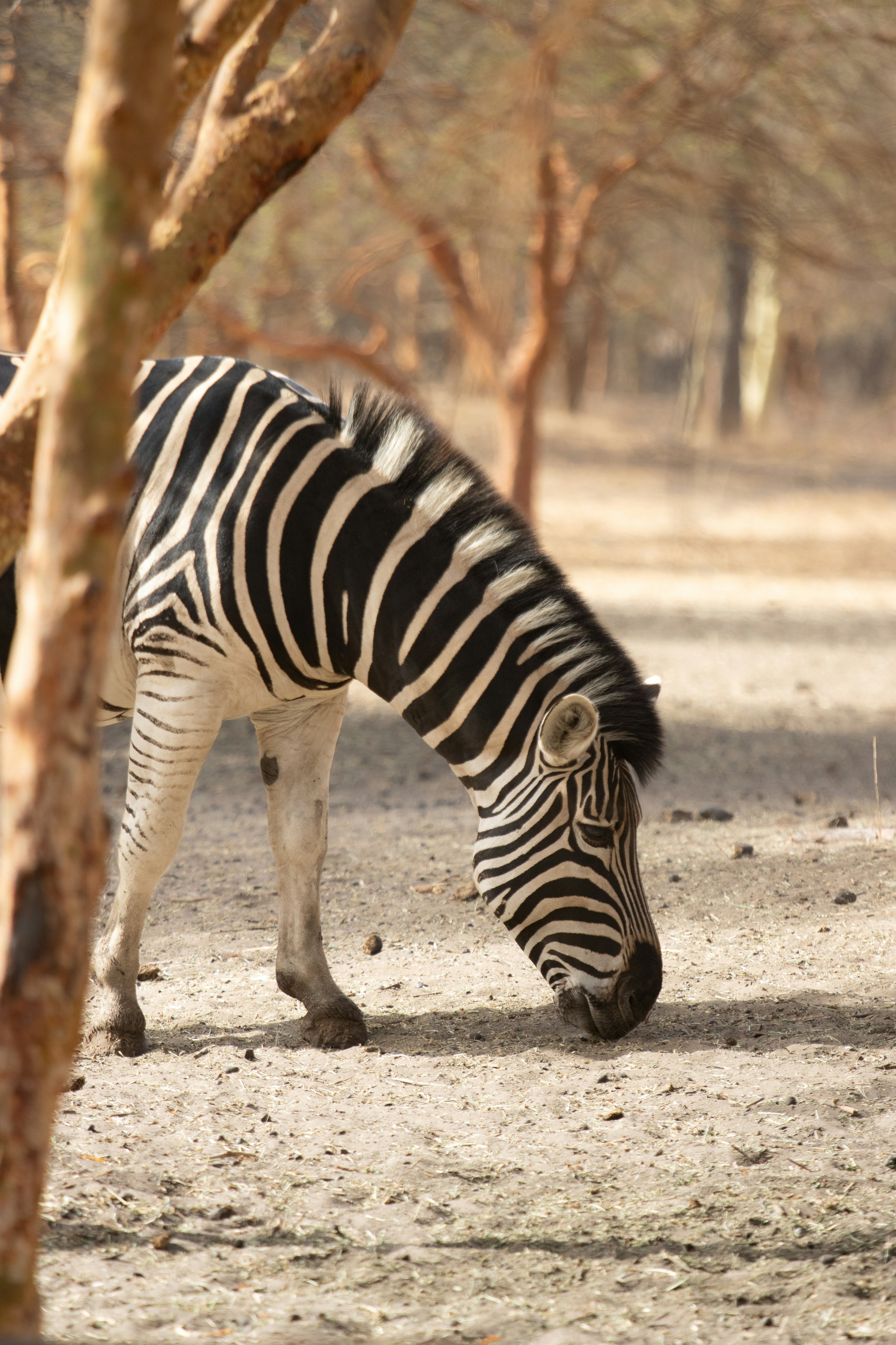 Photo by nathanael240606