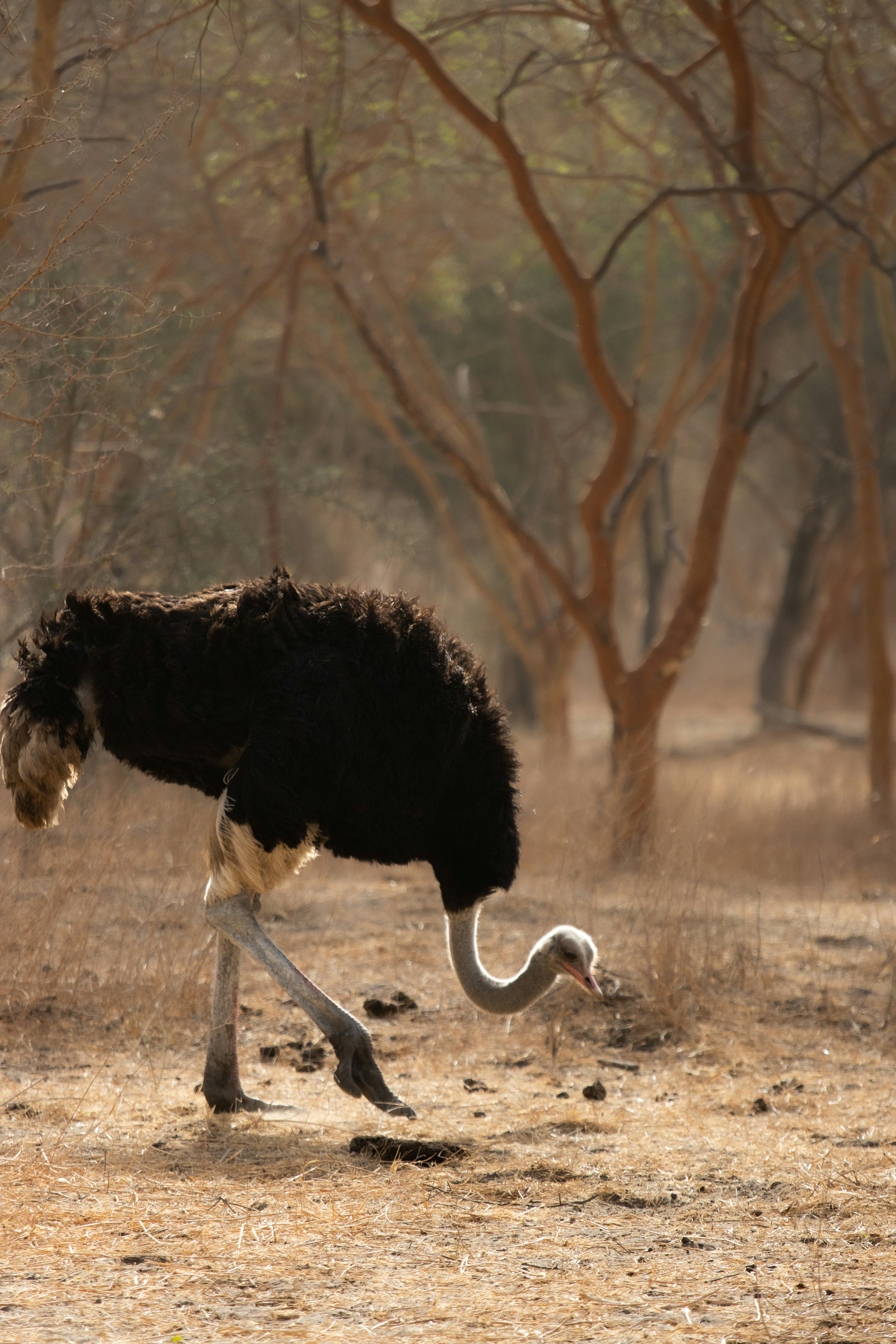 Photo by nathanael240606