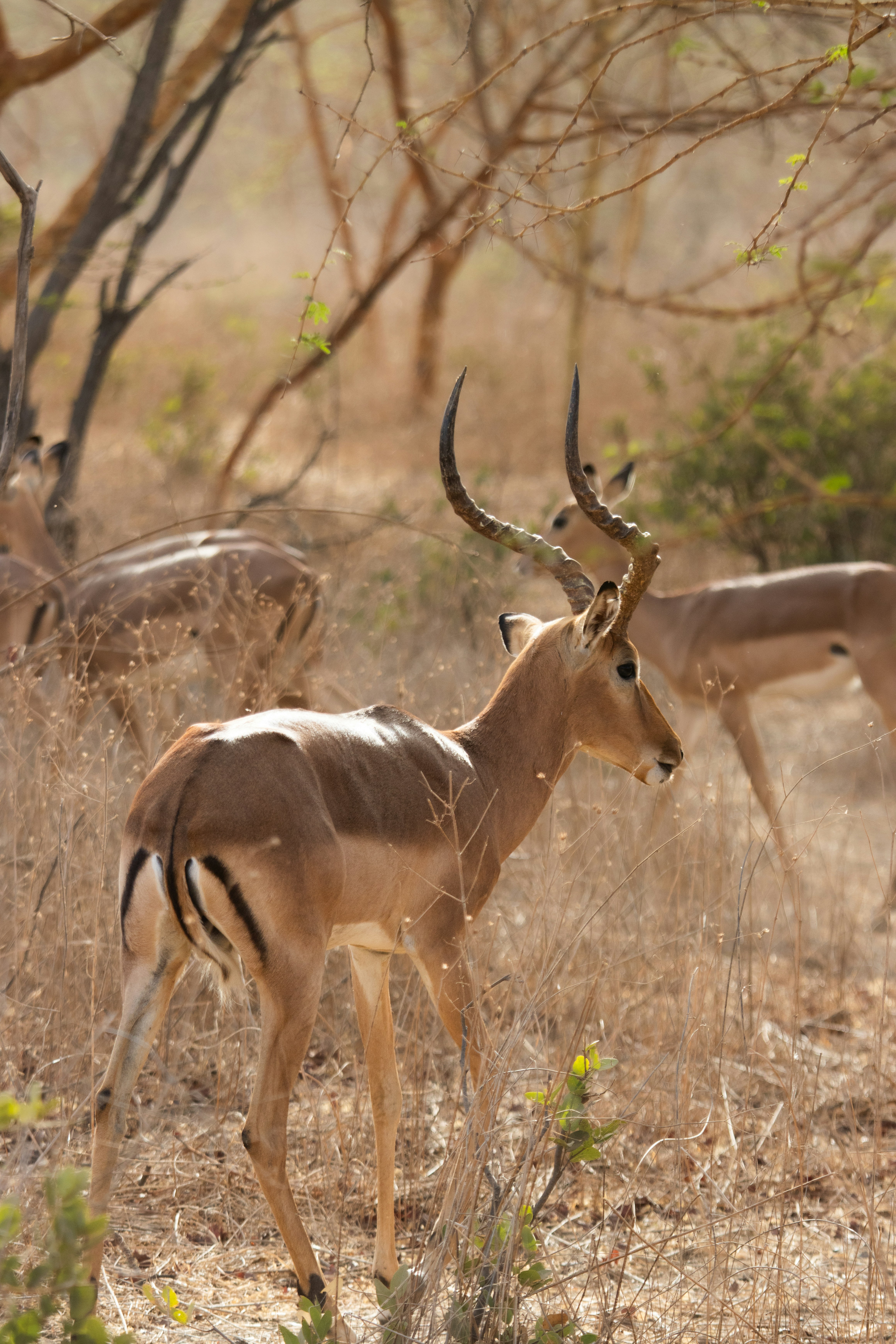 Photo by nathanael240606