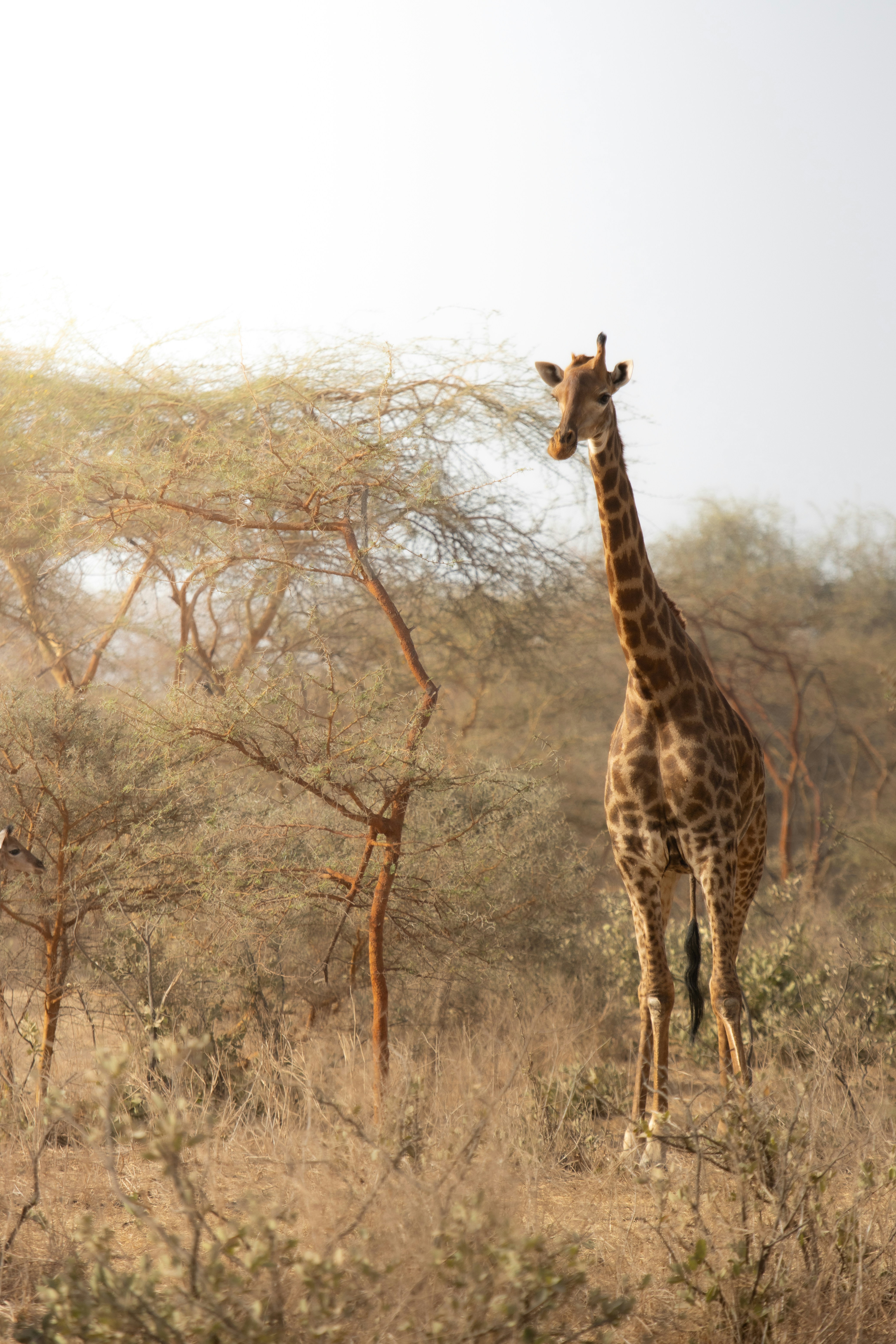 Photo by nathanael240606