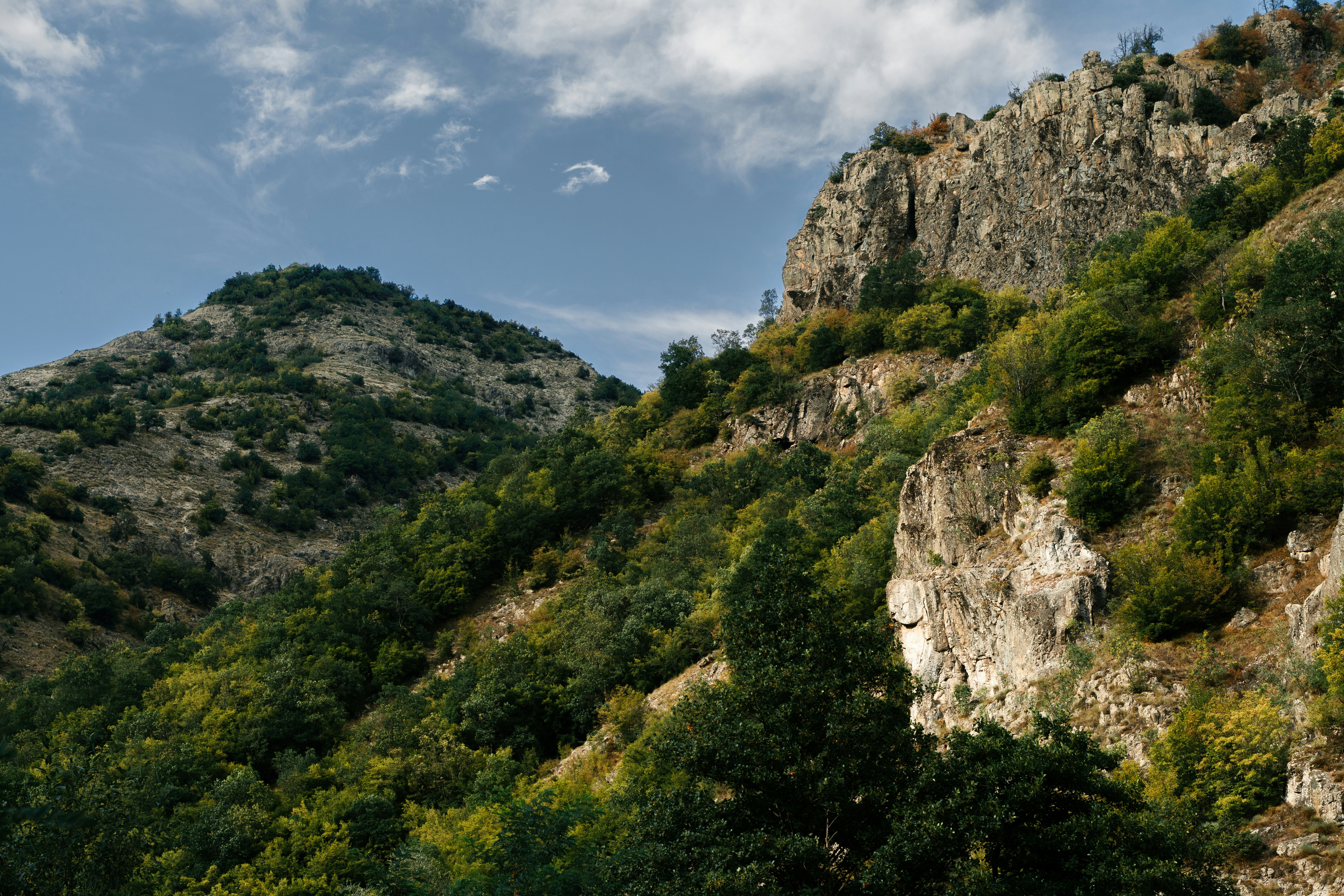 Photo by kristiqnspasov19