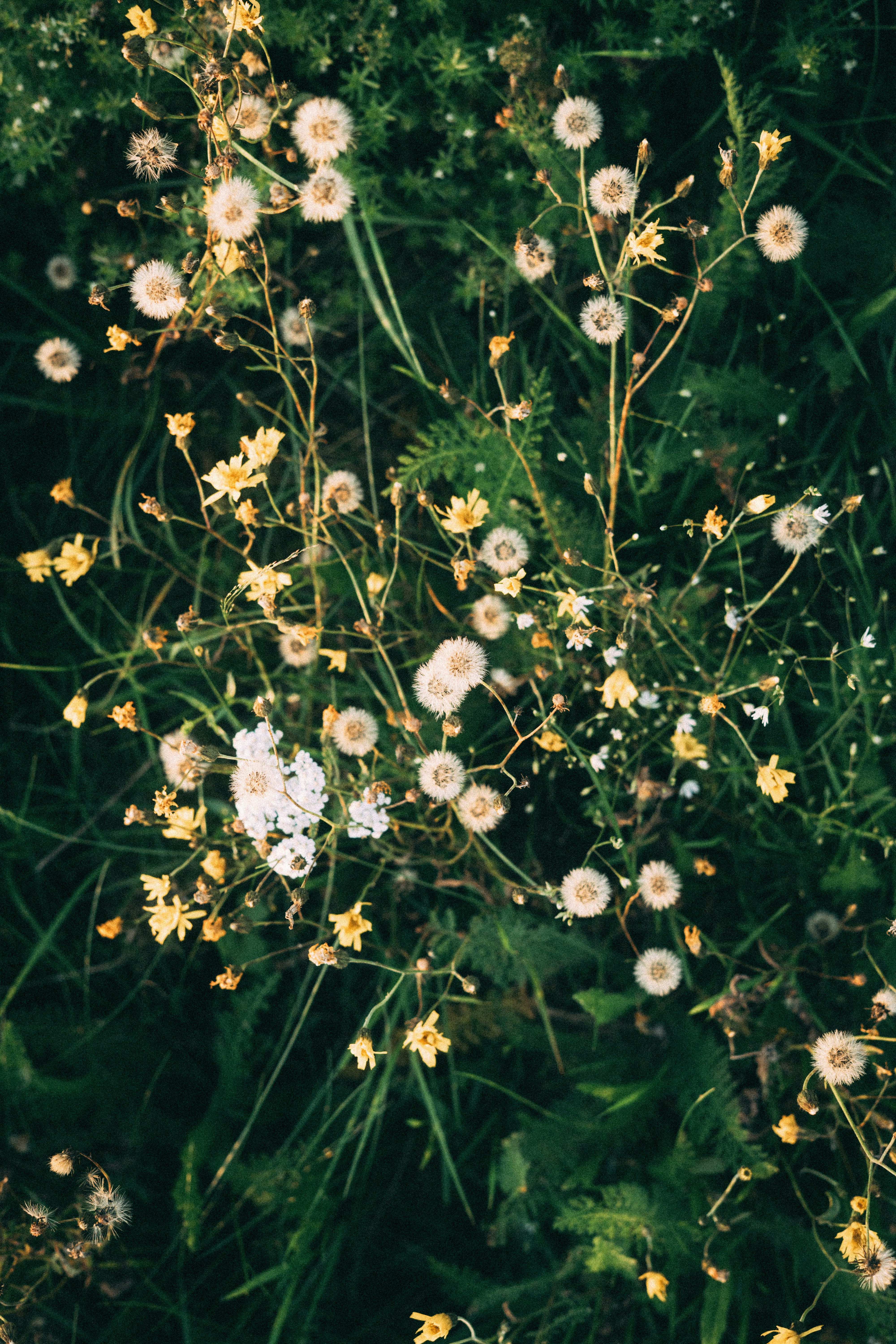 Photo by sarastromberg