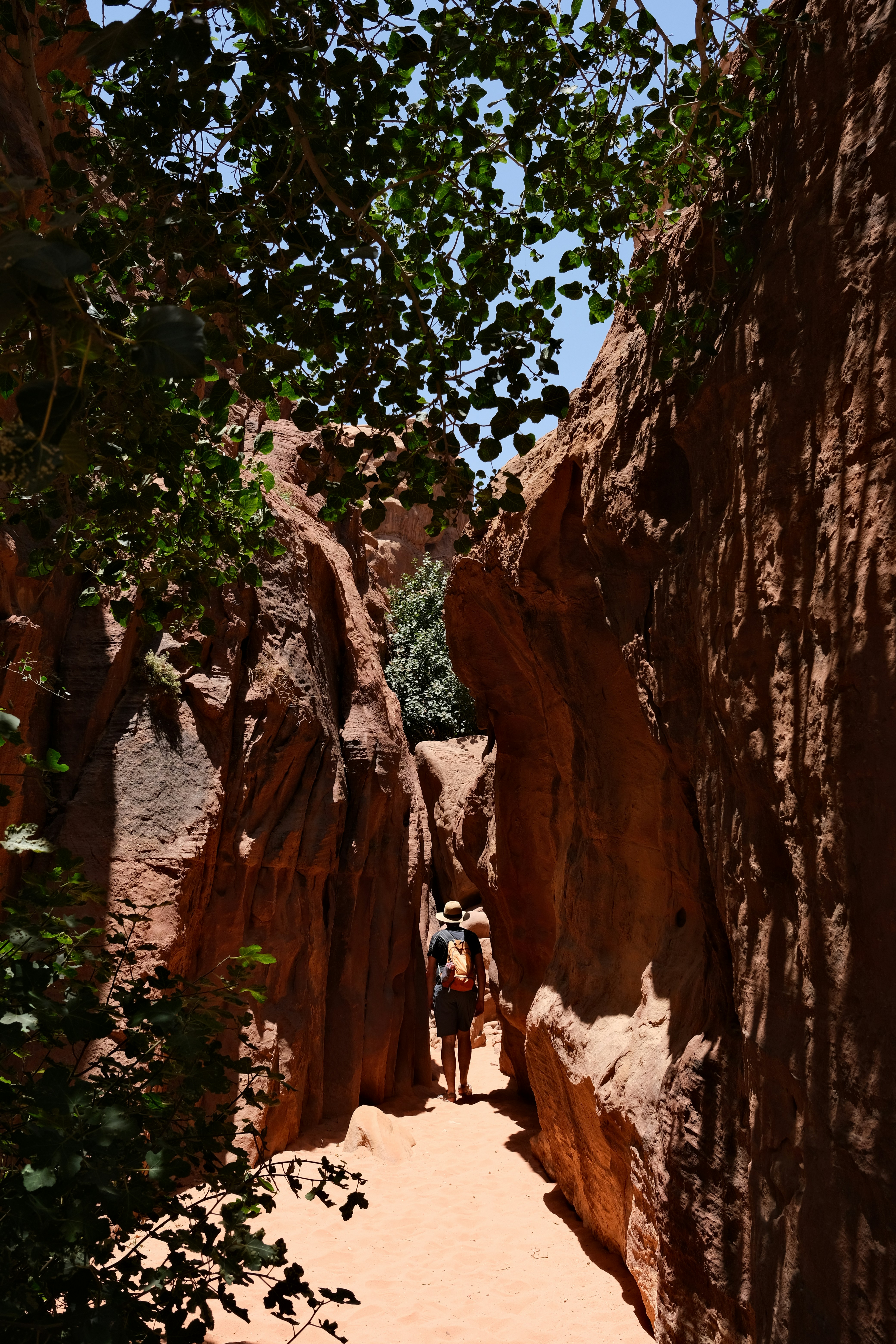 Photo by ingeborgkorme