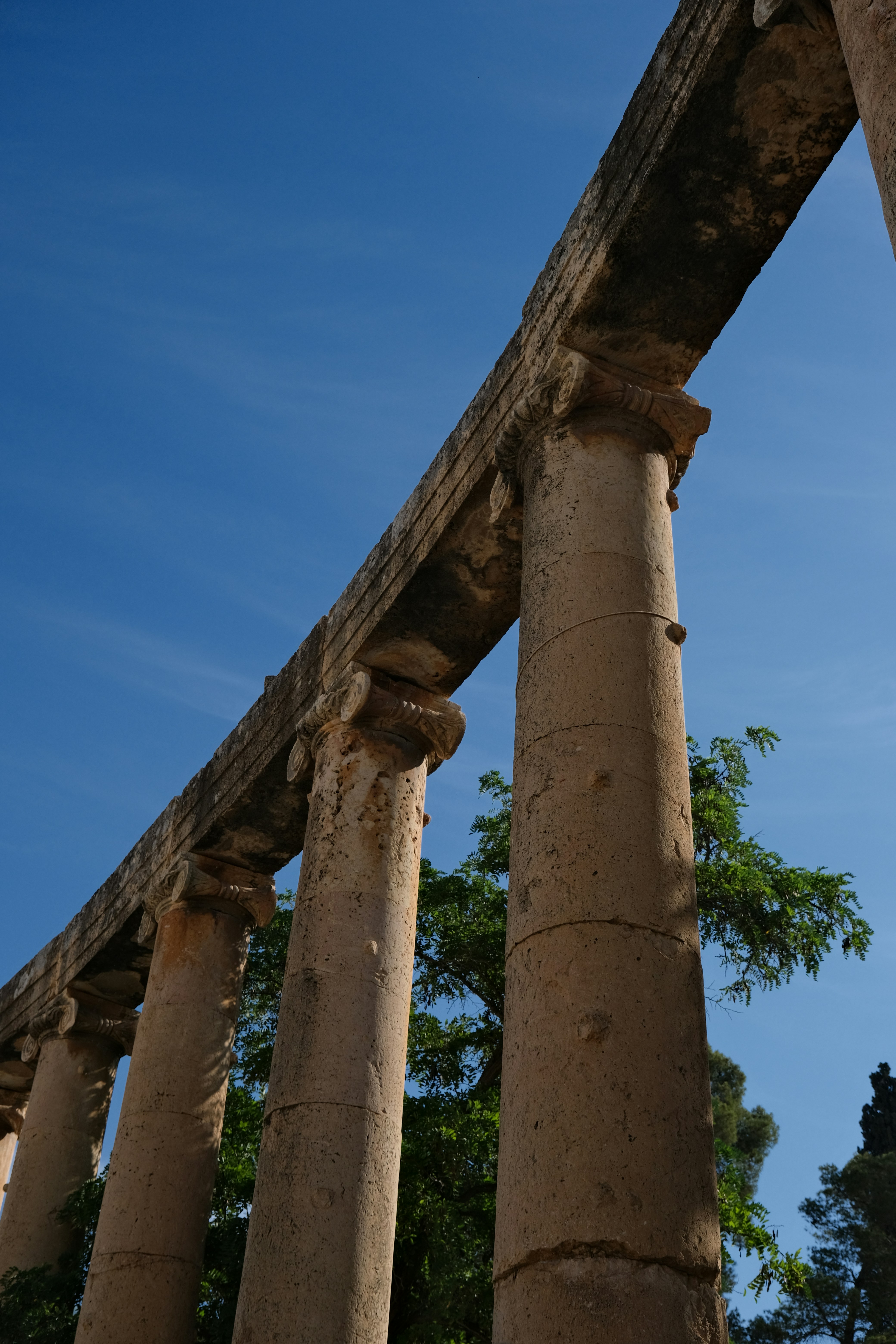 Photo by ingeborgkorme