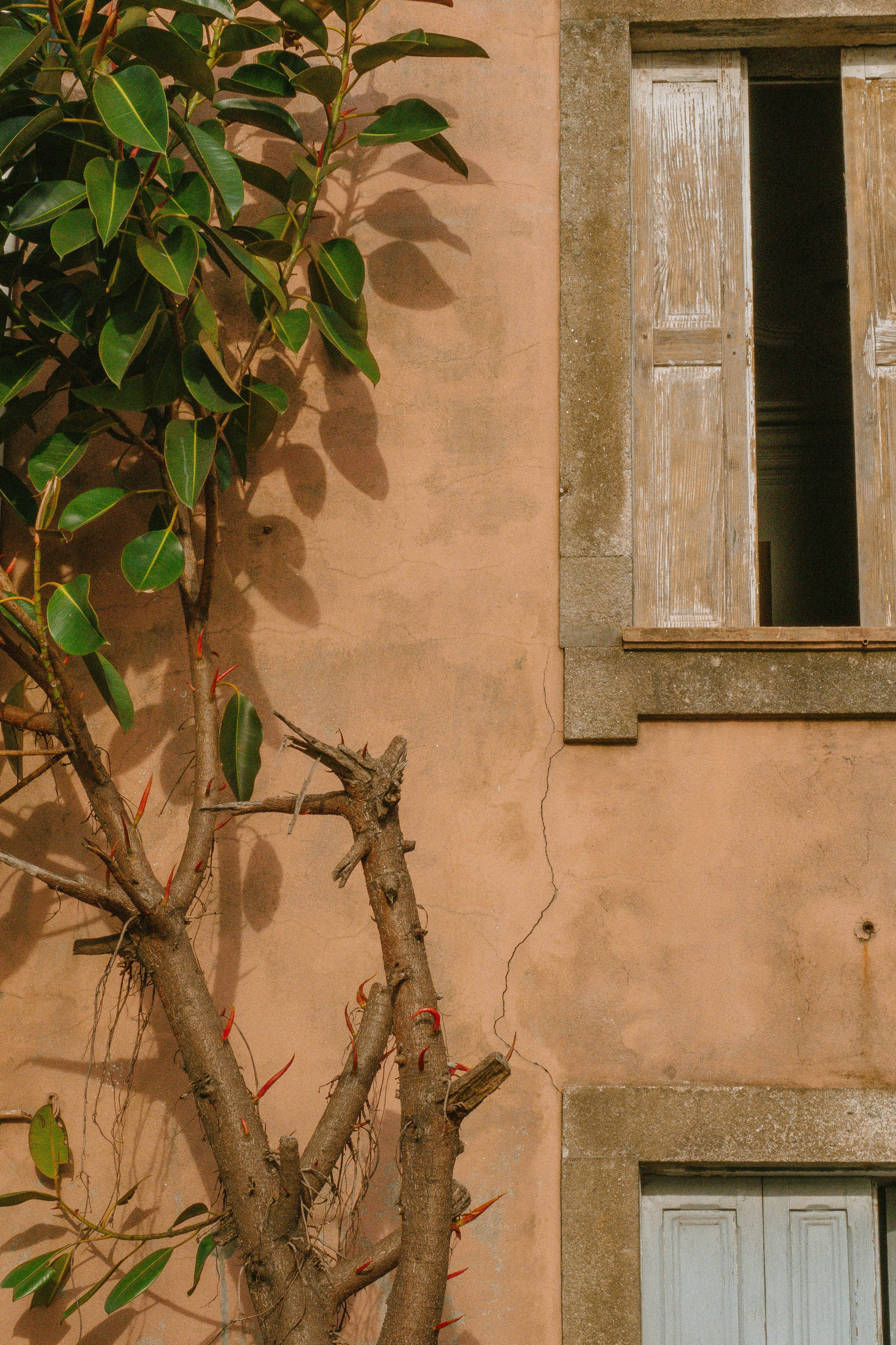 Photo by seenthroughmpk