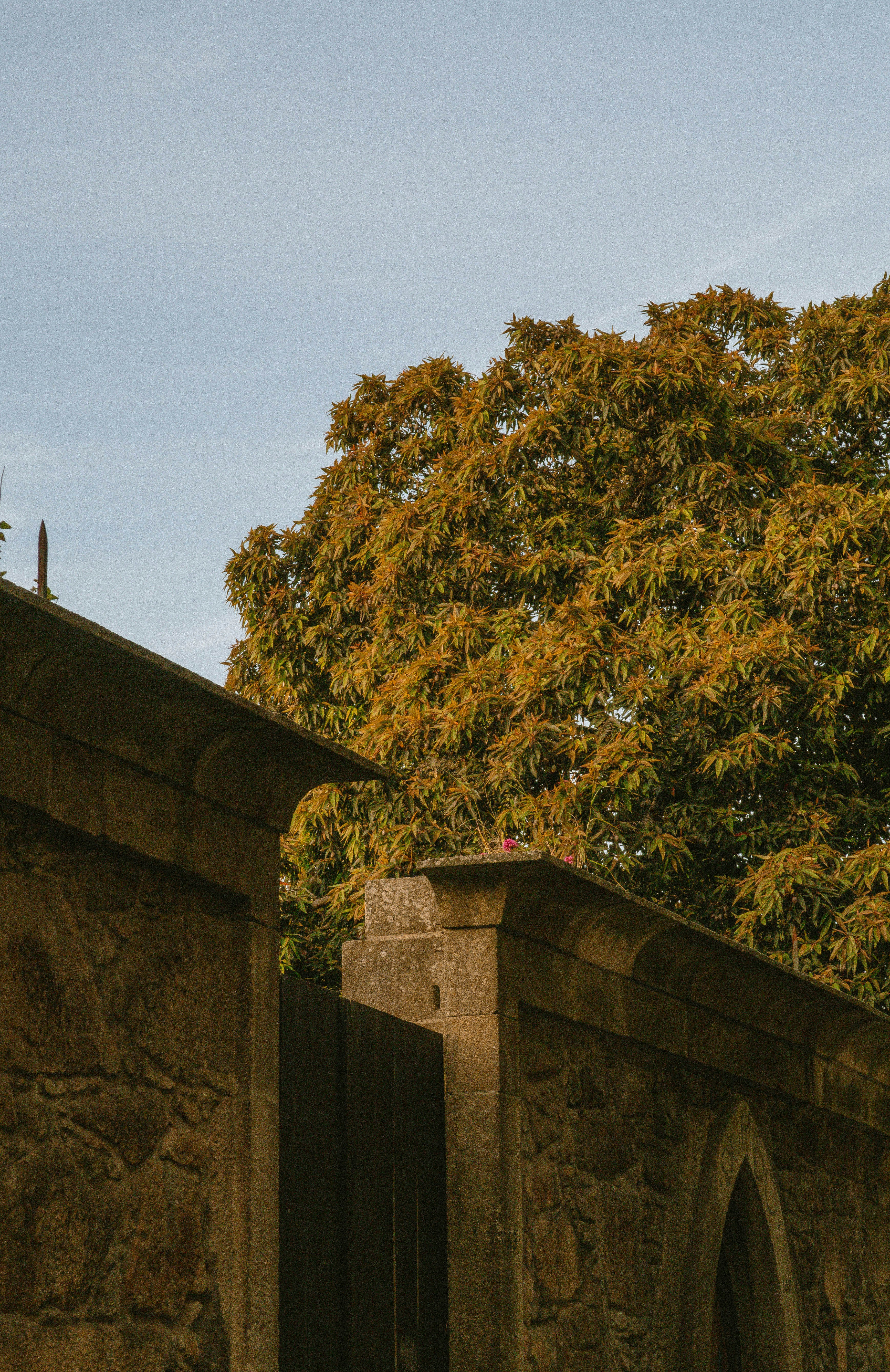 Photo by seenthroughmpk