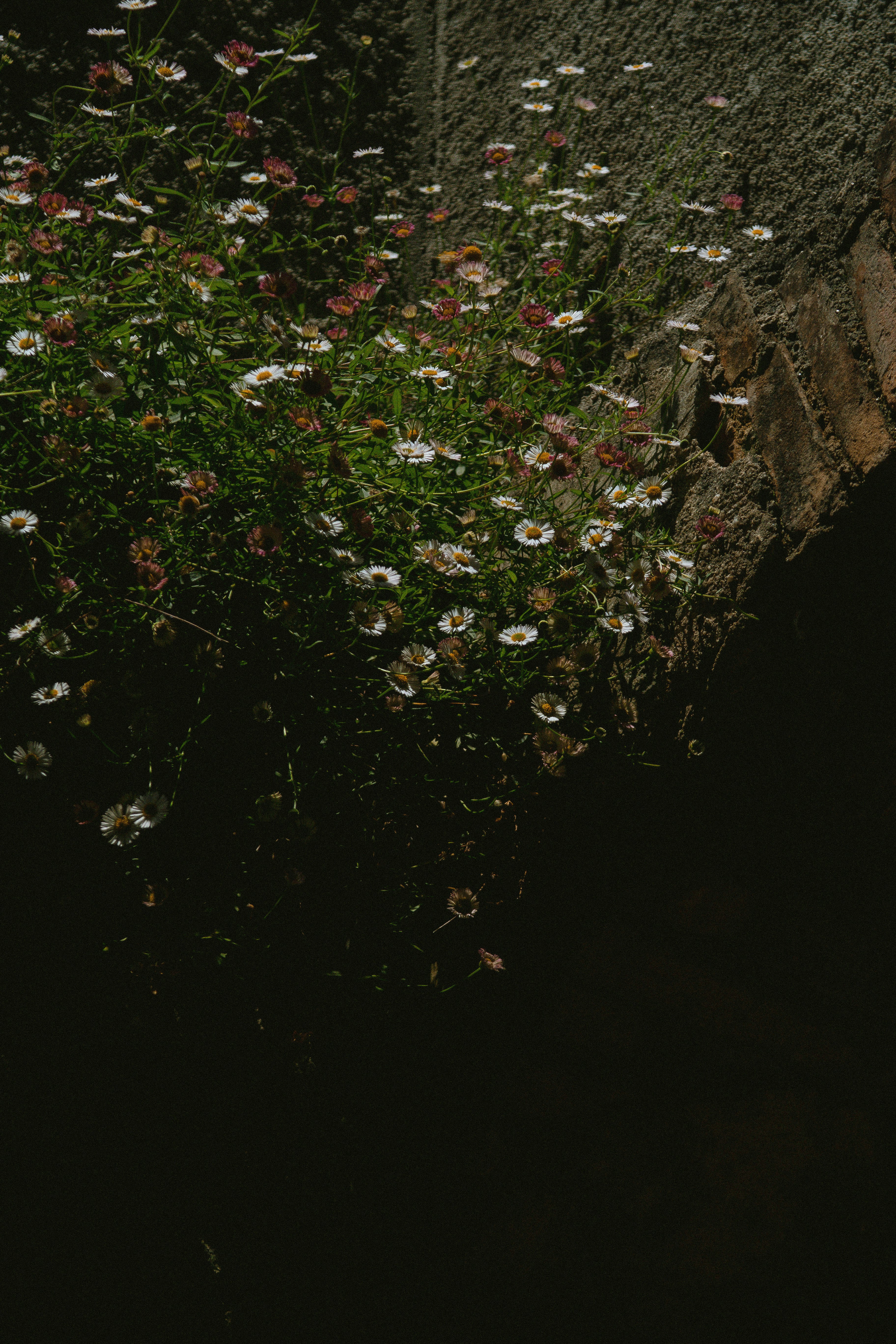 Photo by seenthroughmpk