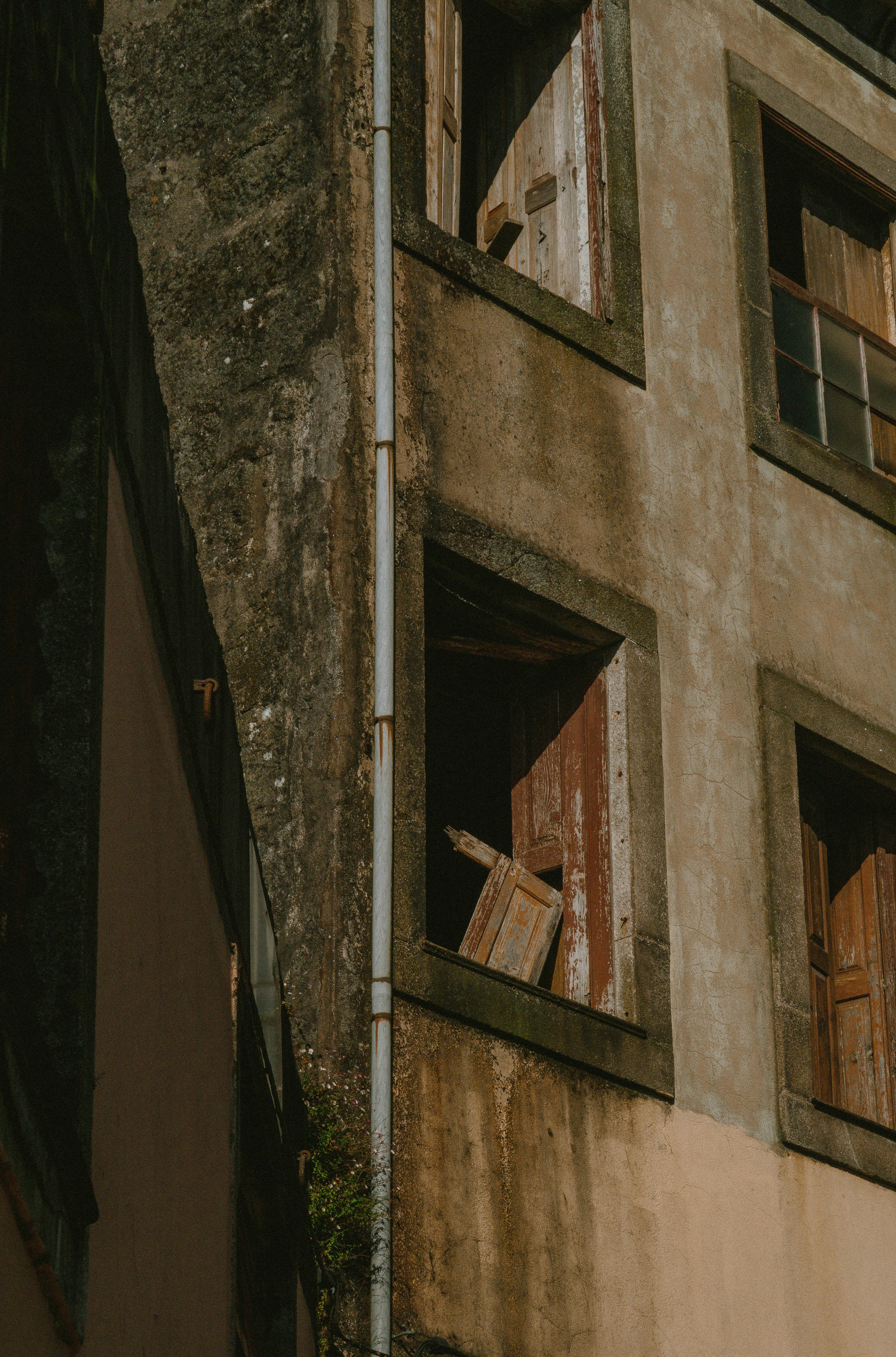 Photo by seenthroughmpk