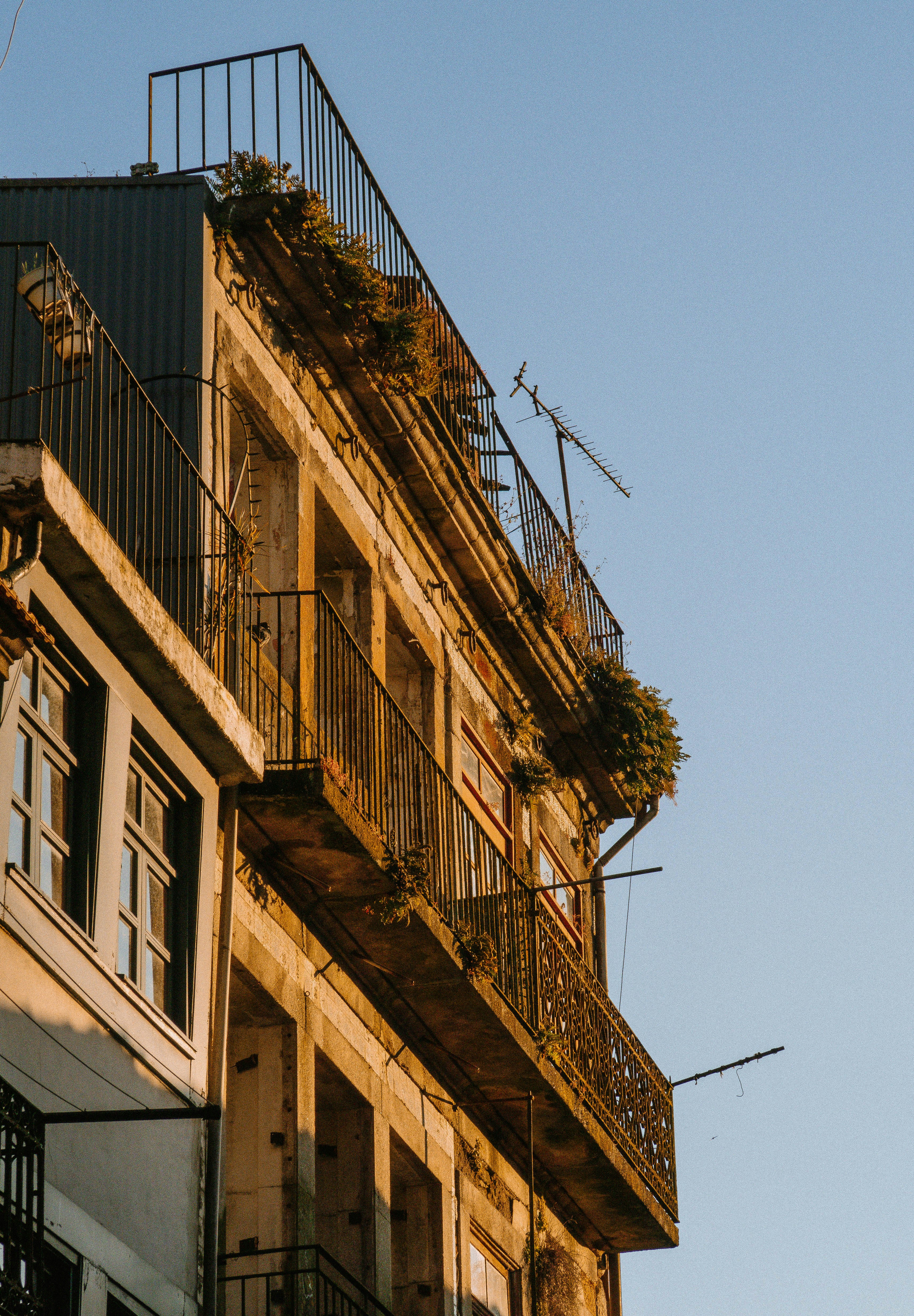 Photo by seenthroughmpk