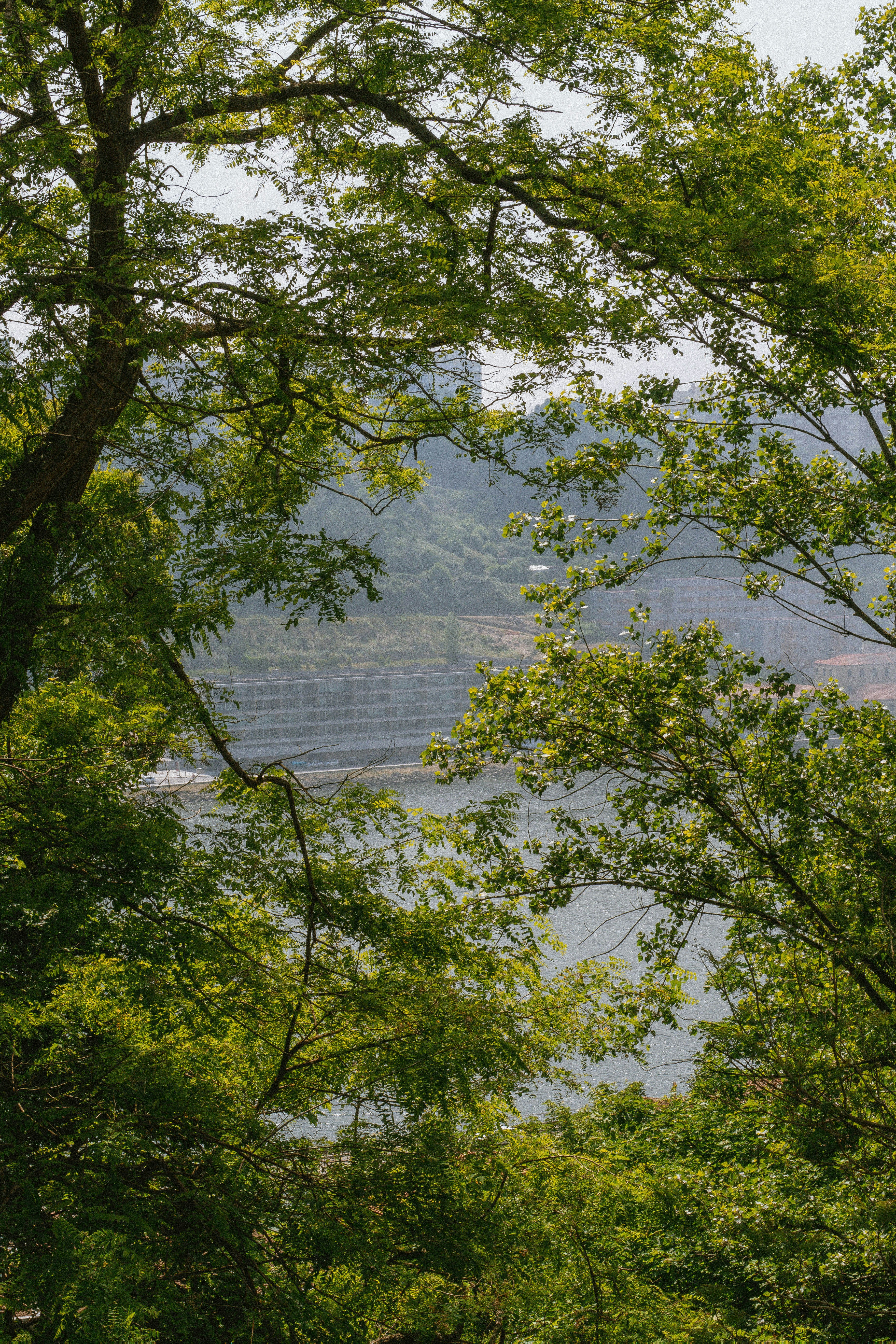 Photo by seenthroughmpk