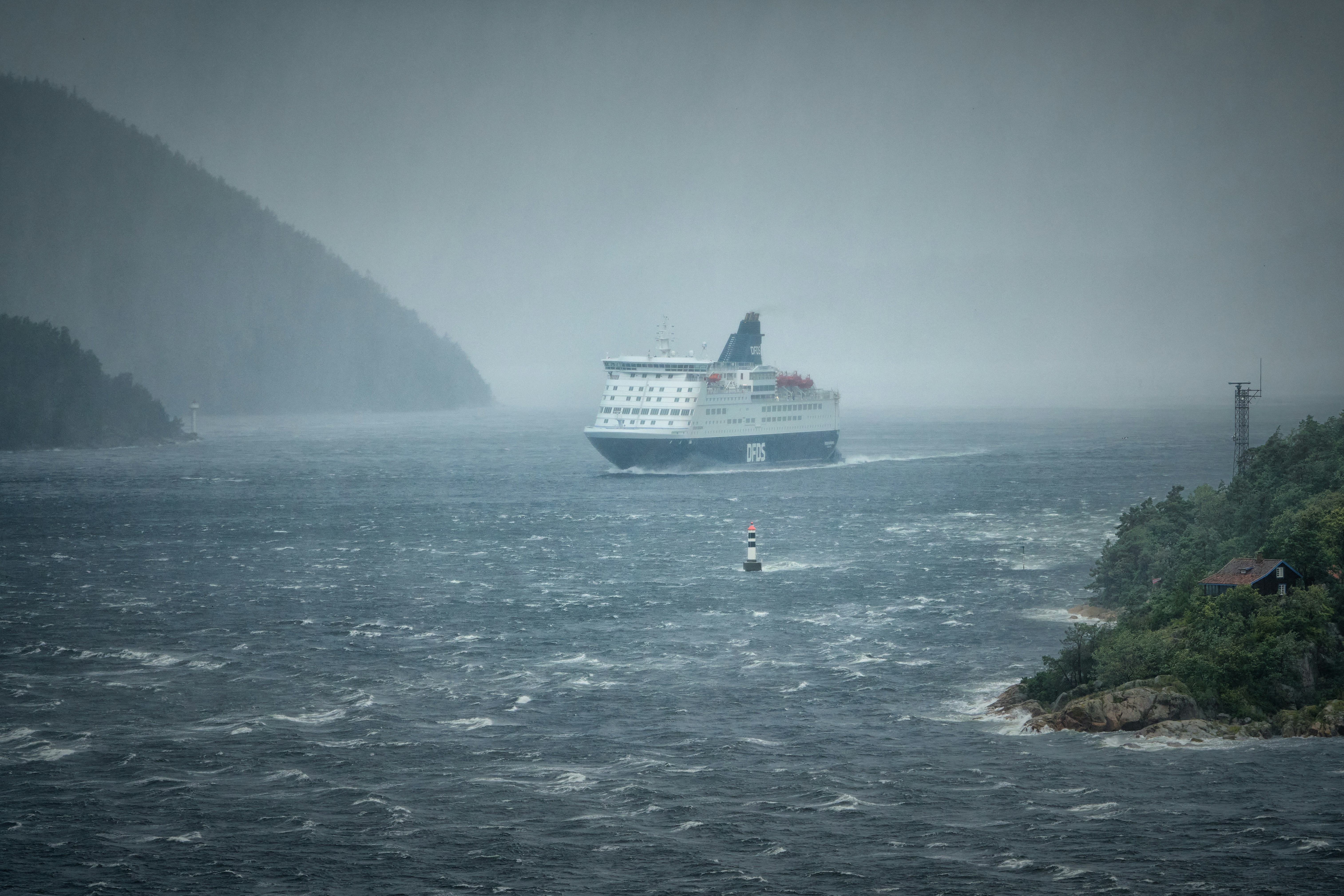 A large cruise ship in the middle of a body of water
