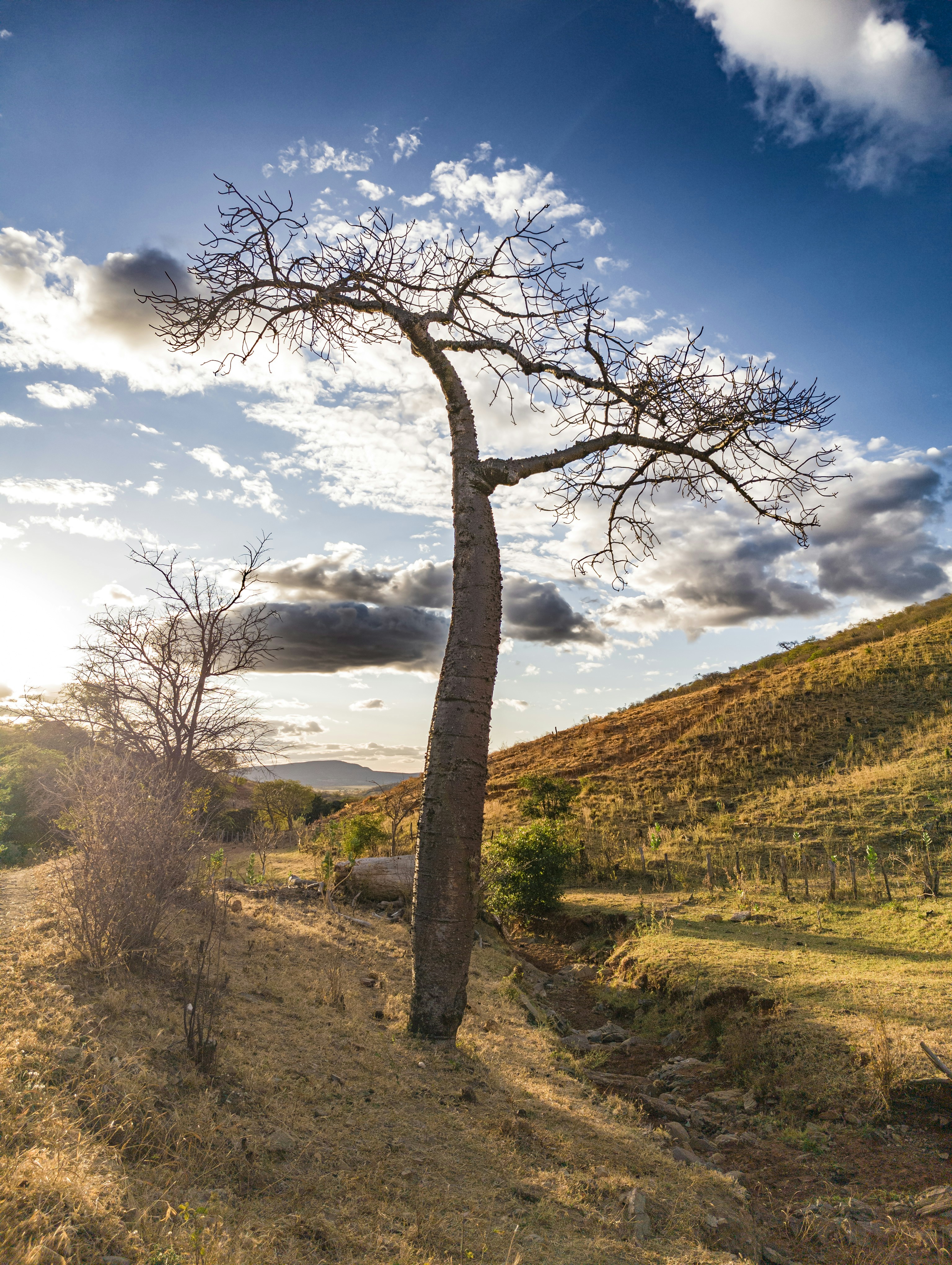 Photo by marceloqferreira