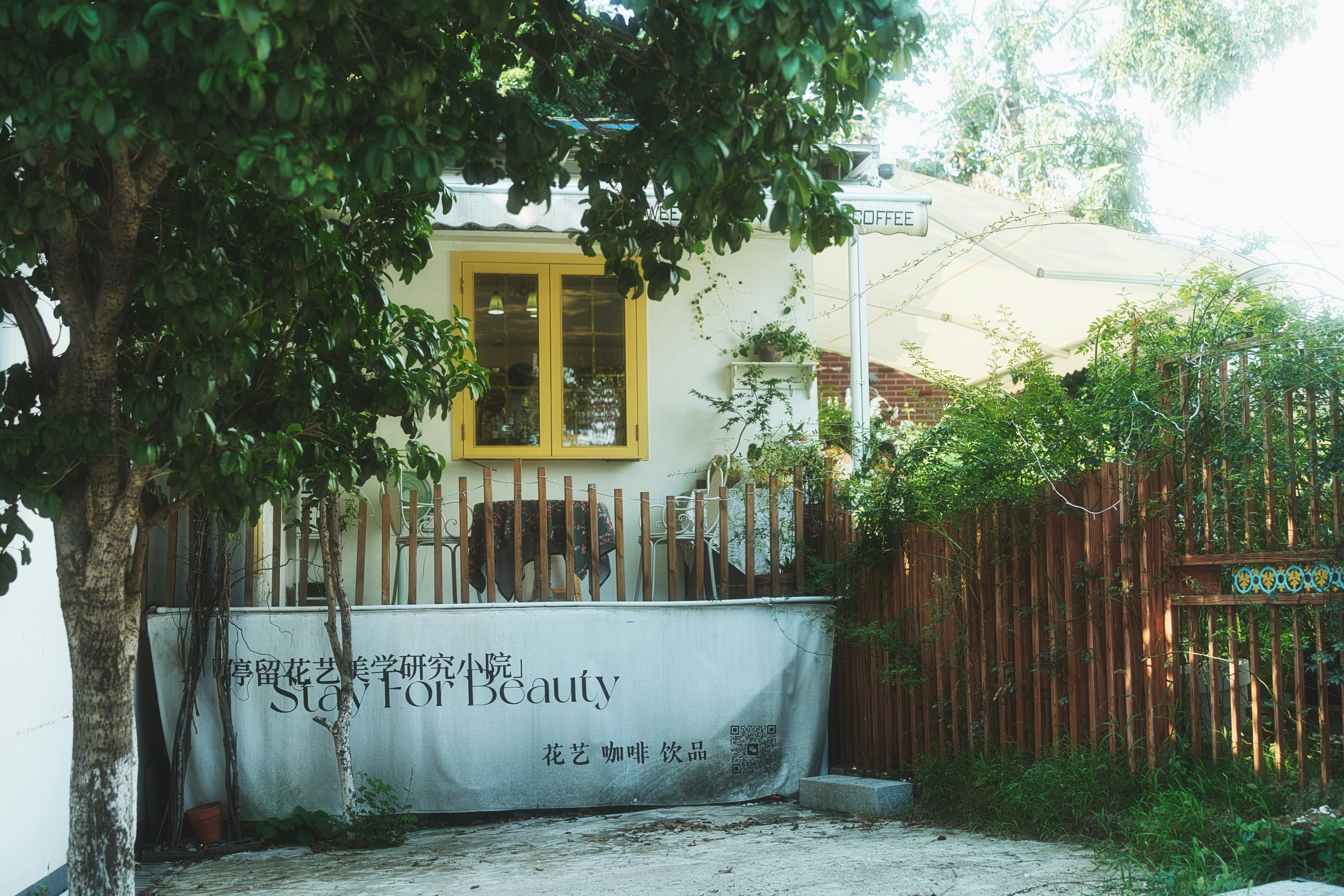 Photo by xiexianghua