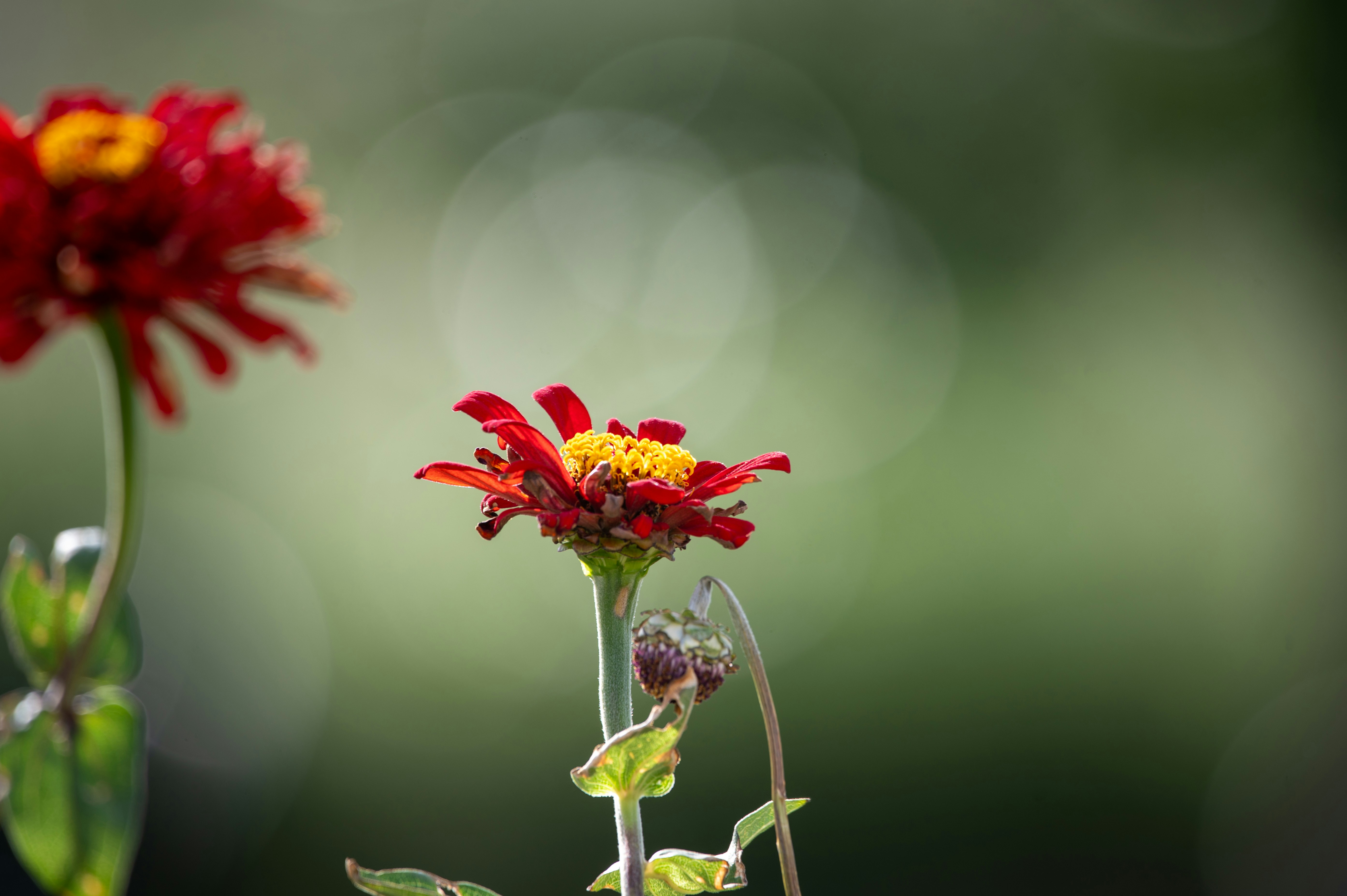 Photo by claytonschase