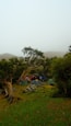 A group of people camping in the woods
