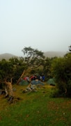 A group of people camping in the woods