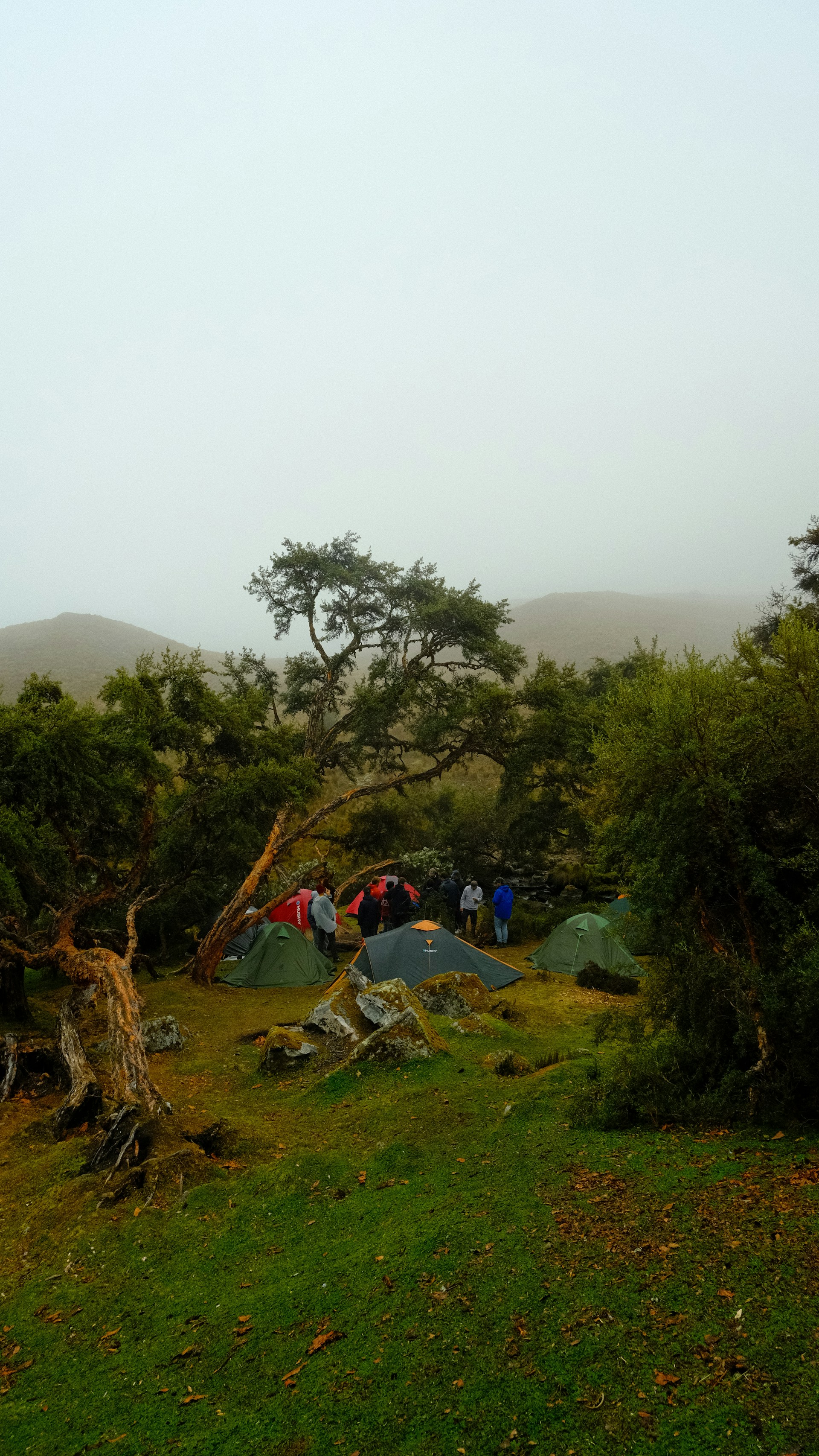 A group of people camping in the woods