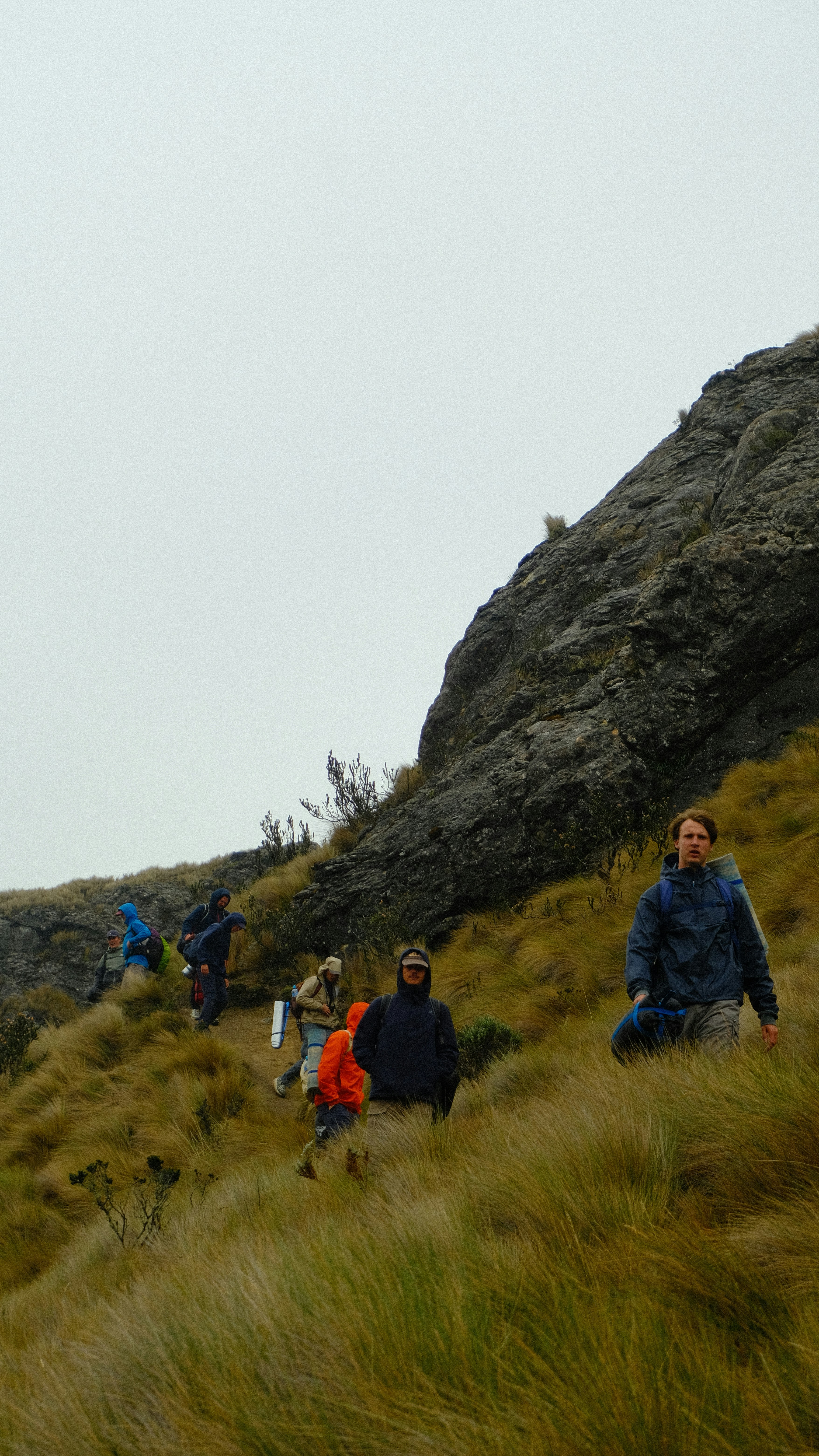 A group of people walking up a grassy hill photo – Free Green Image on ...