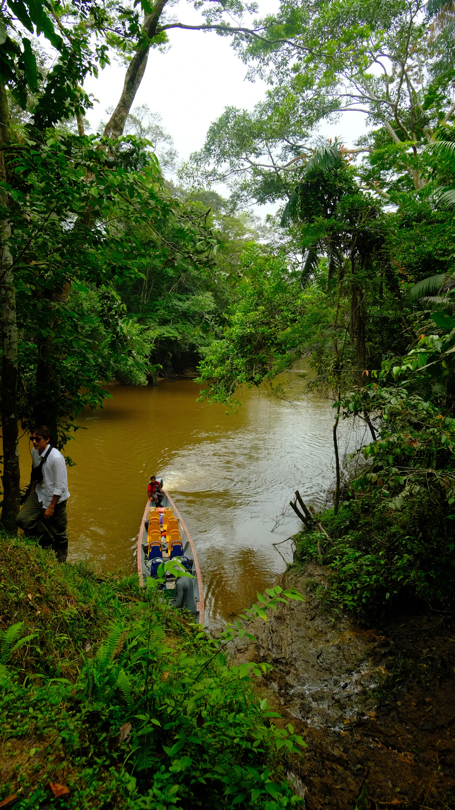 Forêt tropicale de l’Amazonie équatorienne