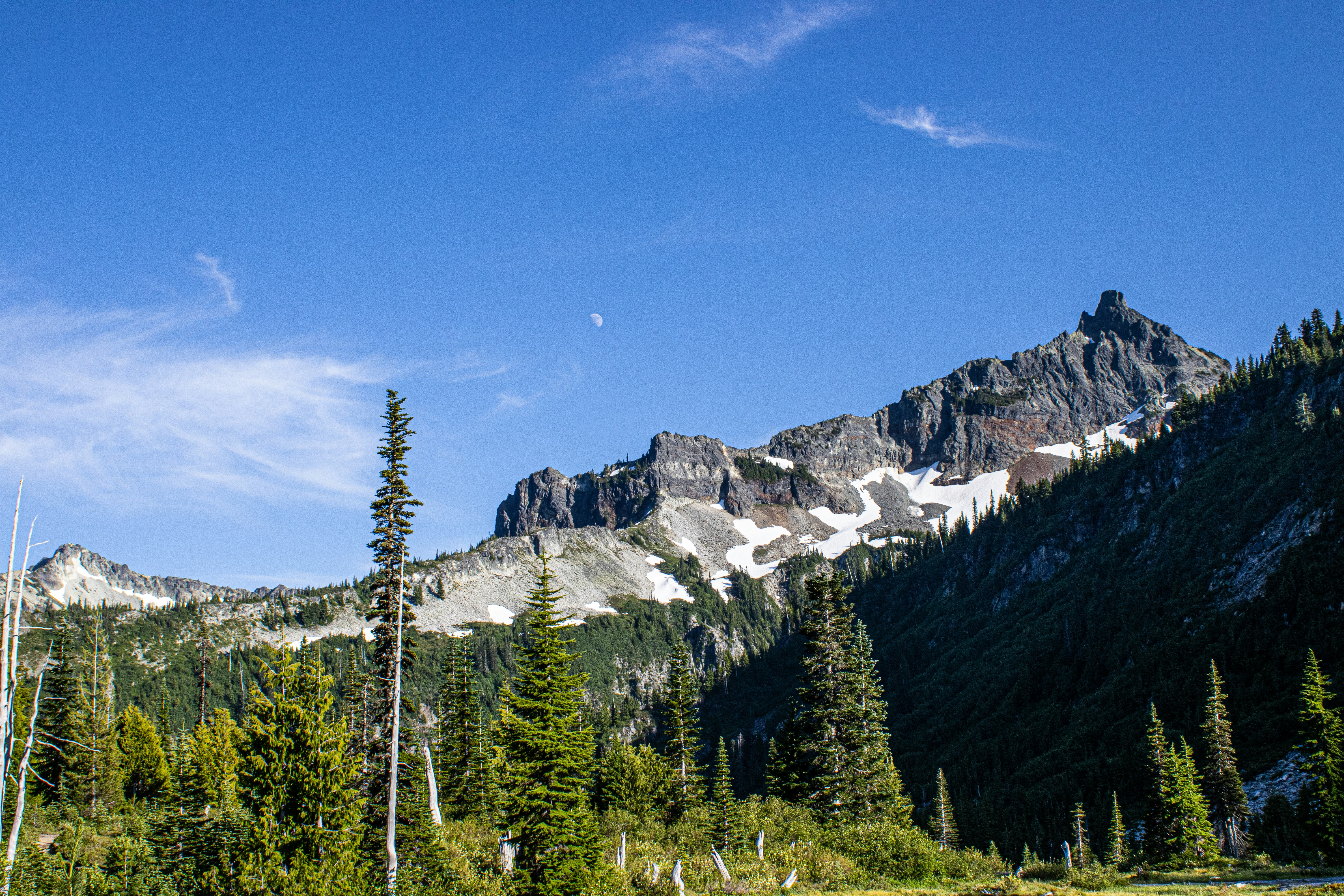 Photo by prphotography262