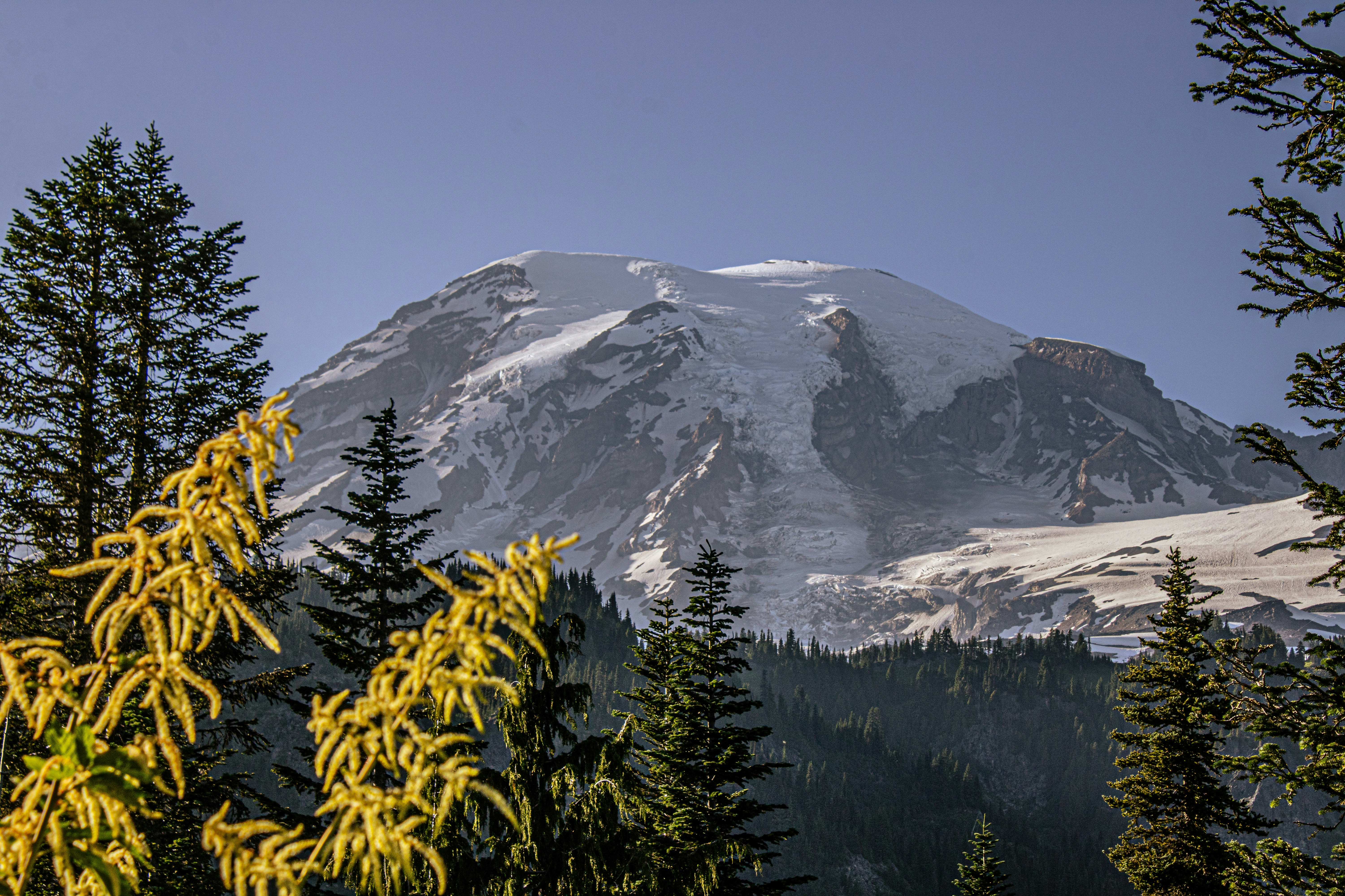 Photo by prphotography262