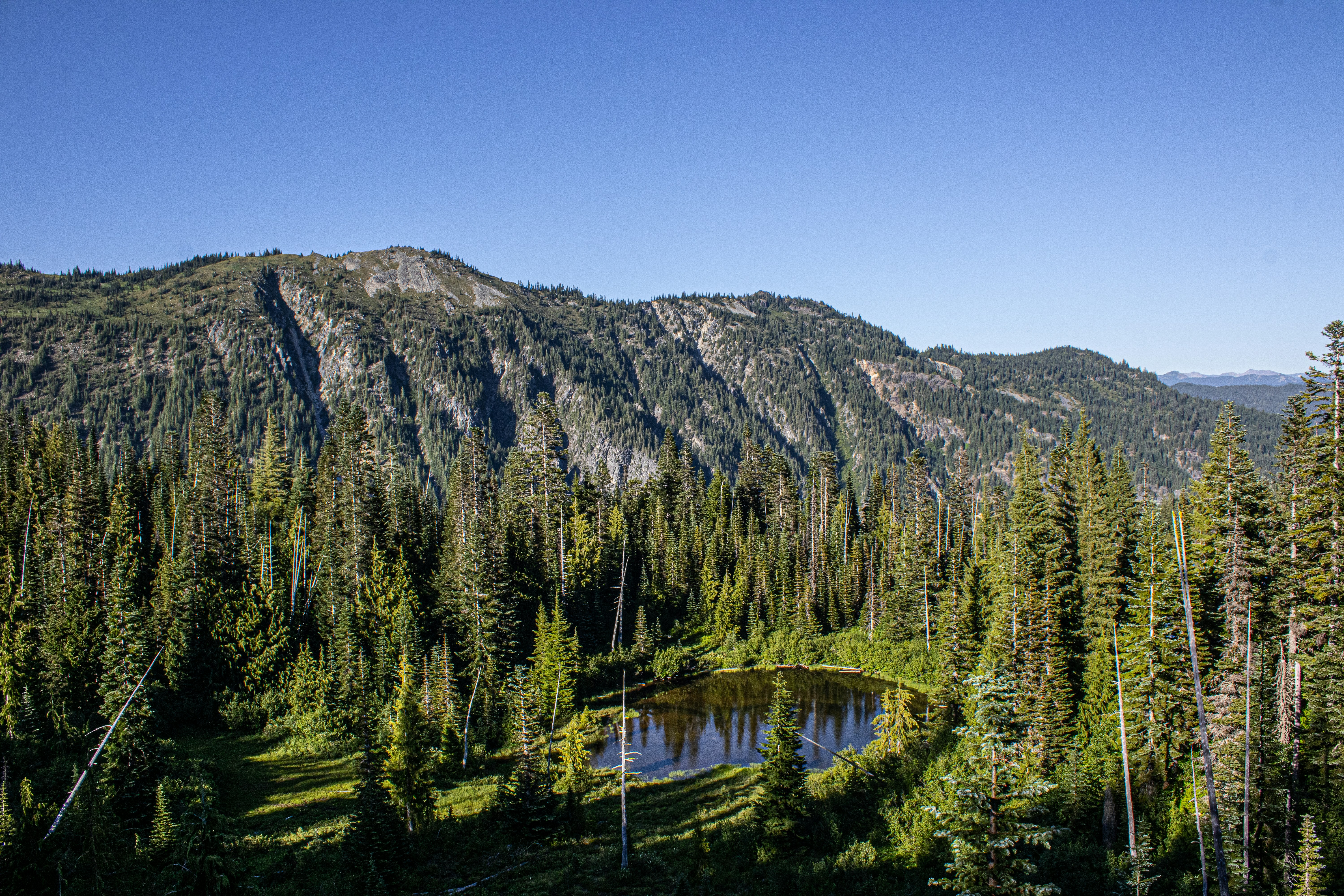 Photo by prphotography262