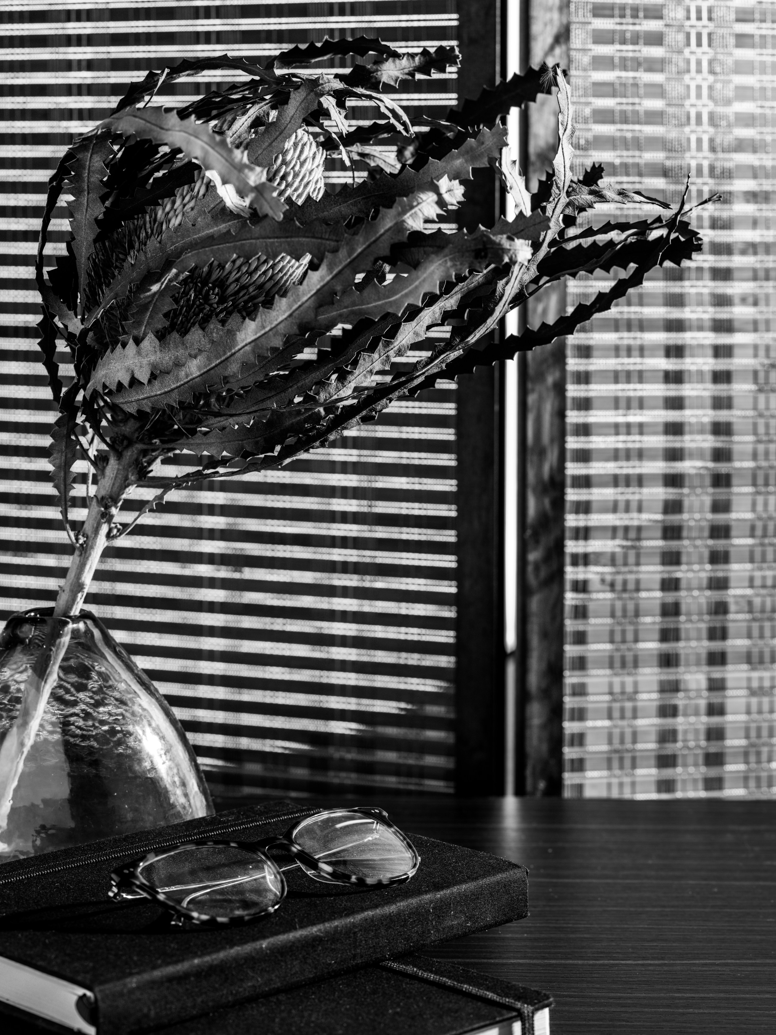 Una foto en blanco y negro de una flor en un jarrón